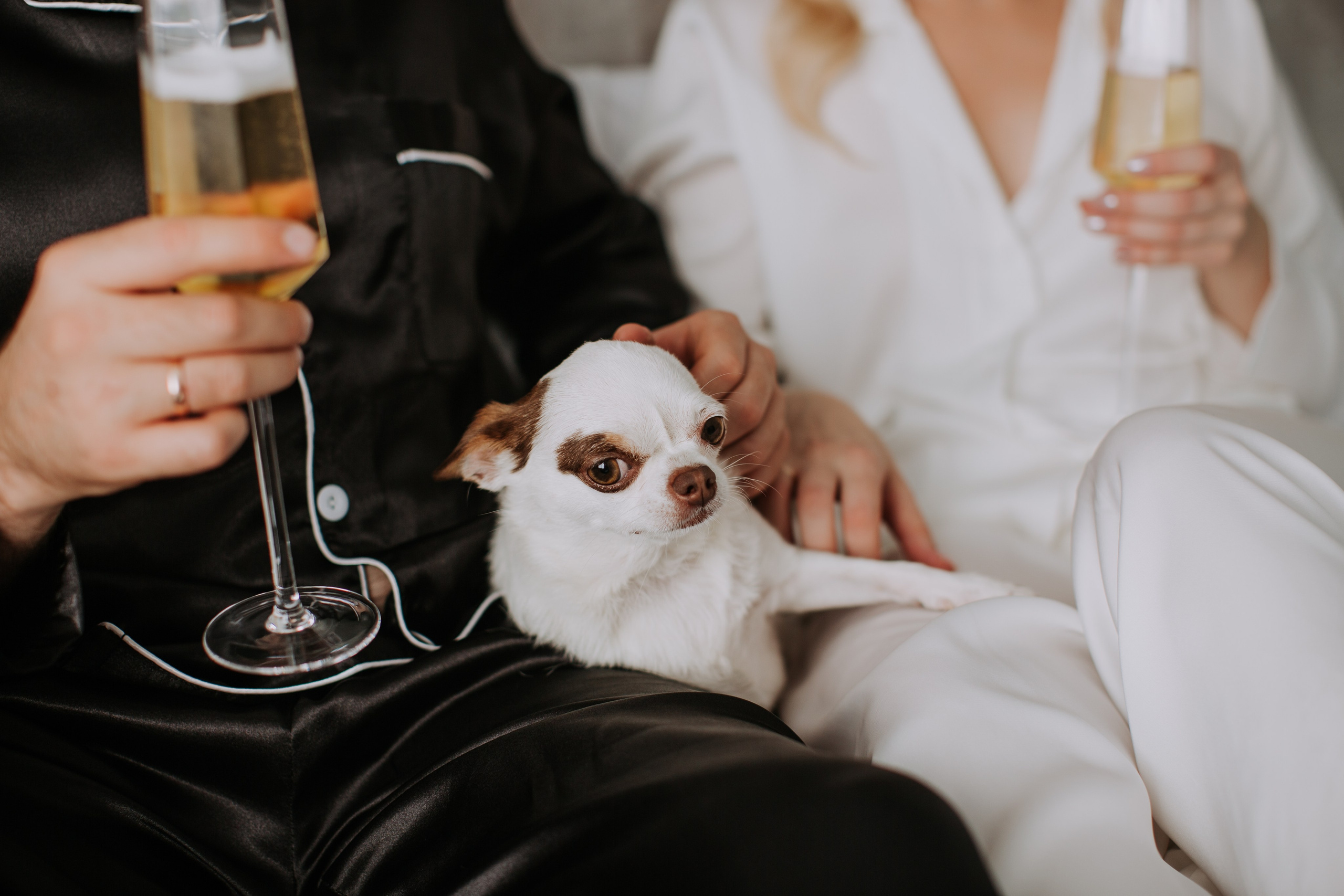 Алексей и Юлия. Свадебный фотограф и видеограф в Ростове-на-Дону Романенко