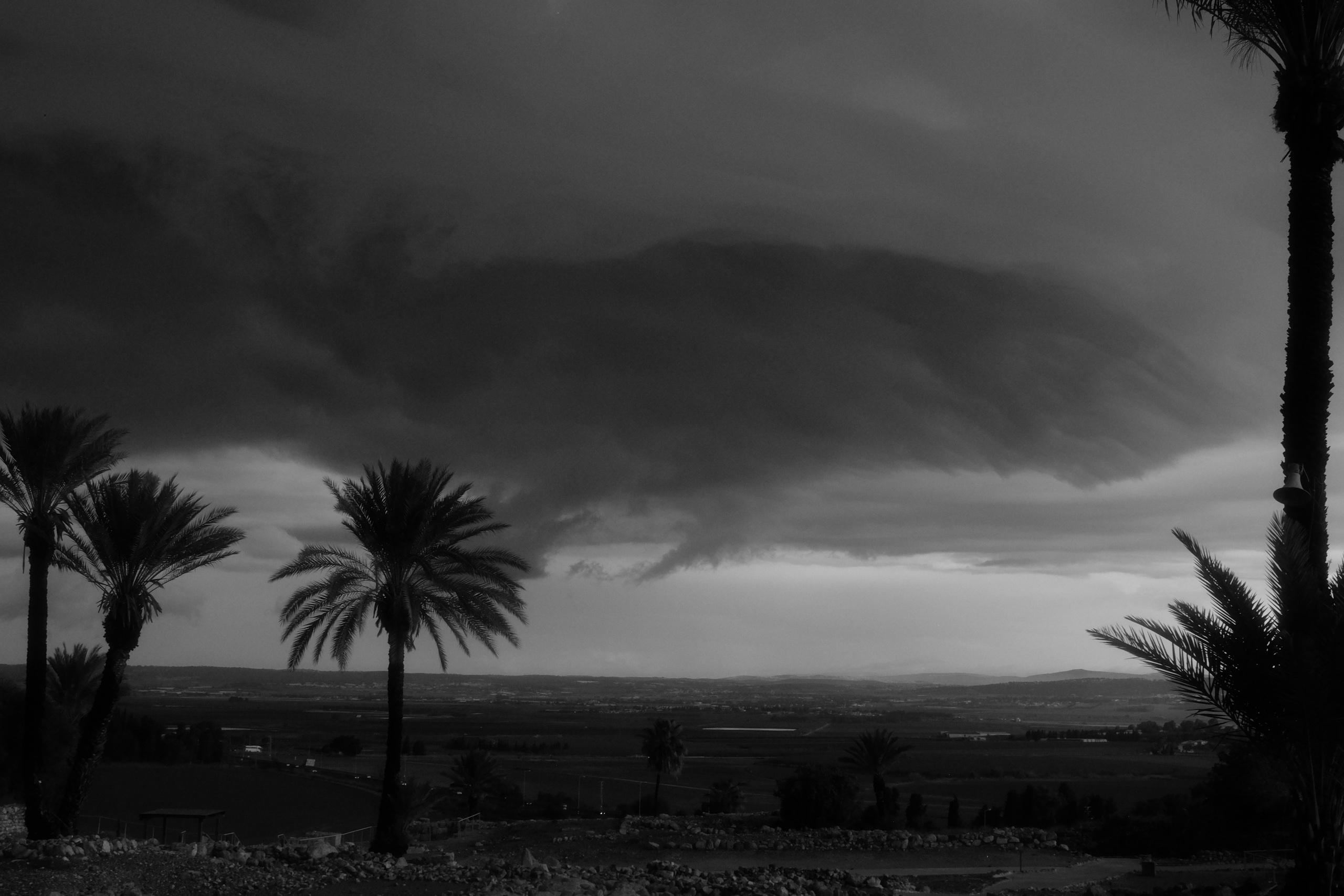 Armageddon. Татьяна Белякова — Фотохудожник | Концептуальная аналоговая фотография