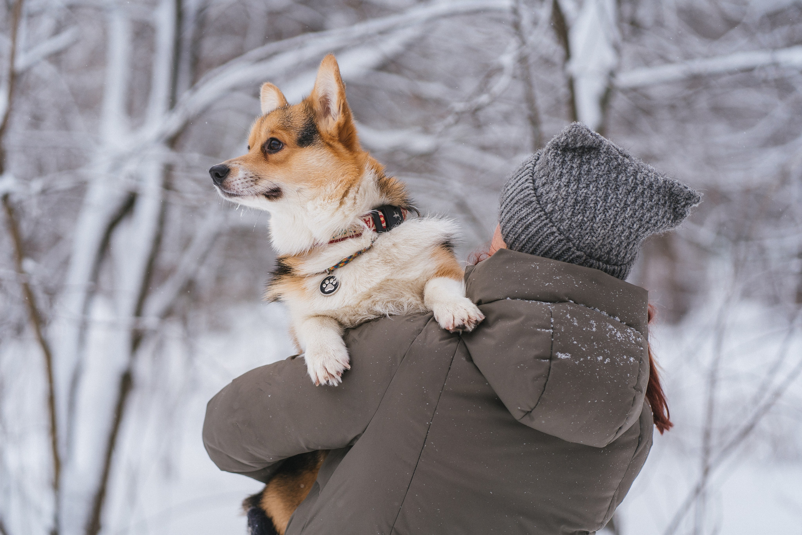Каспер и Полина. Свадебный фотограф в Москве Анна Полушина