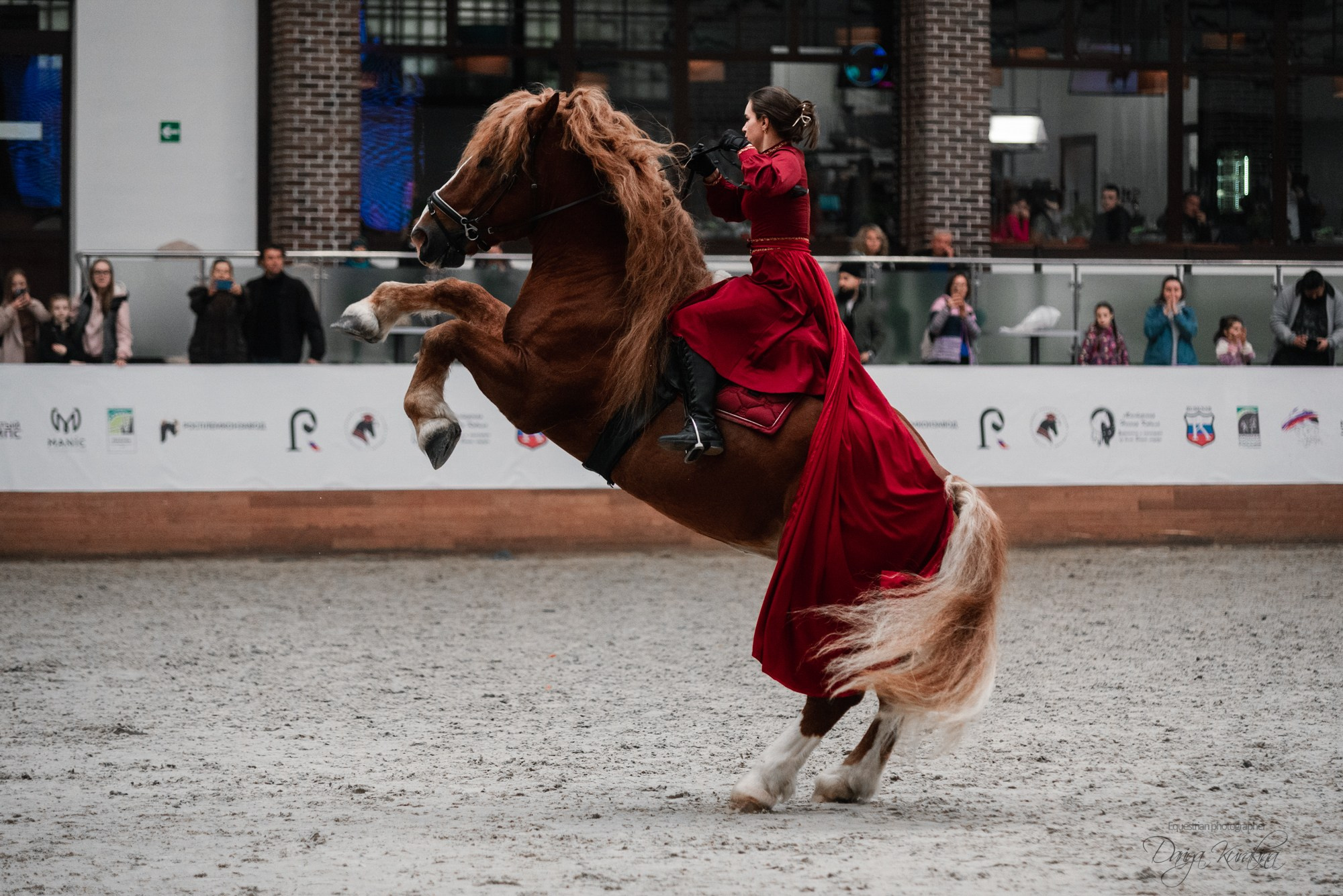 8-я международная выставка Конная Россия. Конный фотограф Куракина Дарья • Фотосессии с лошадьми