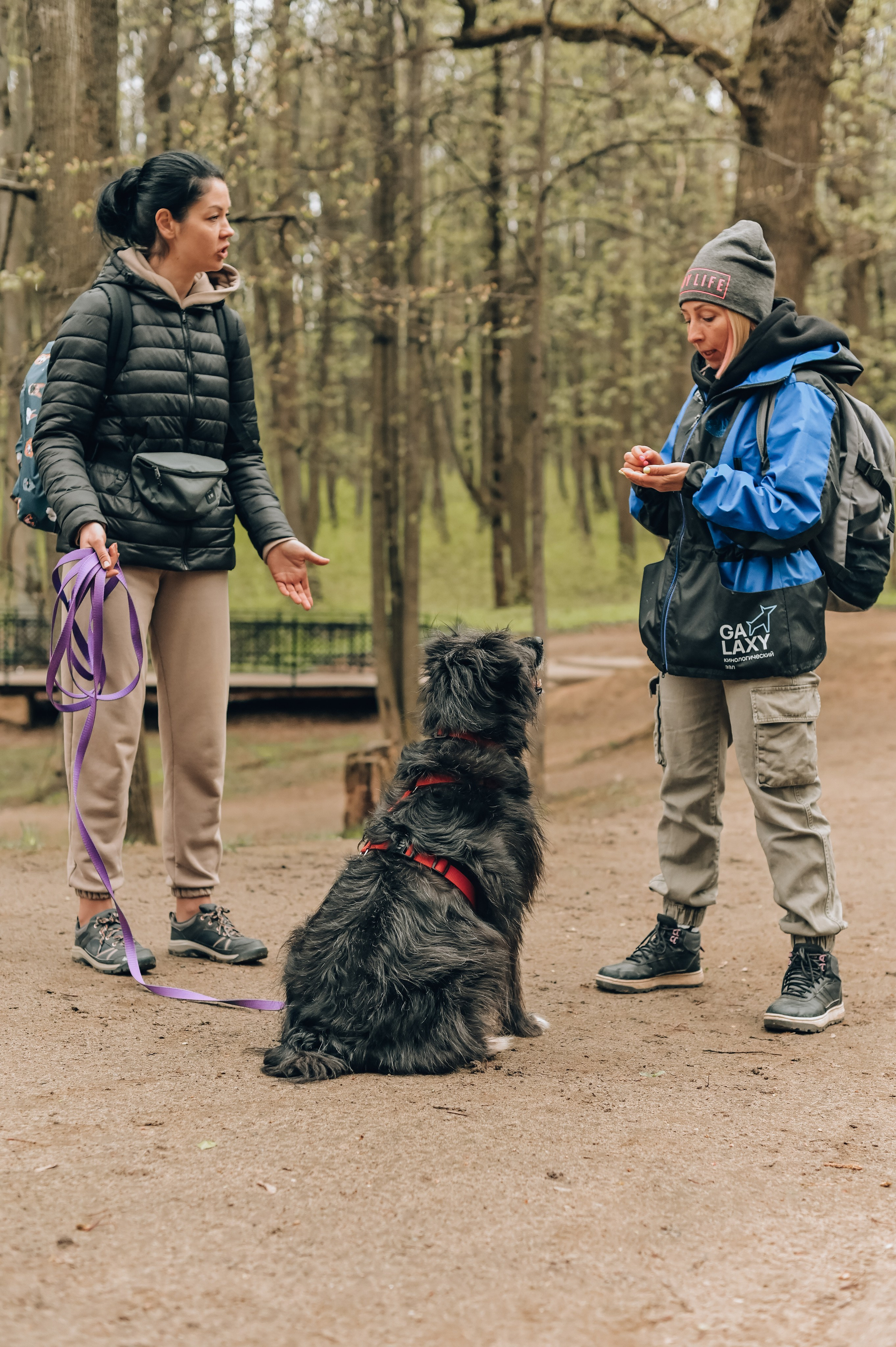 Занятие с кинологом. Семейный и репортажный фотограф в Москве Анастасия Трубкина