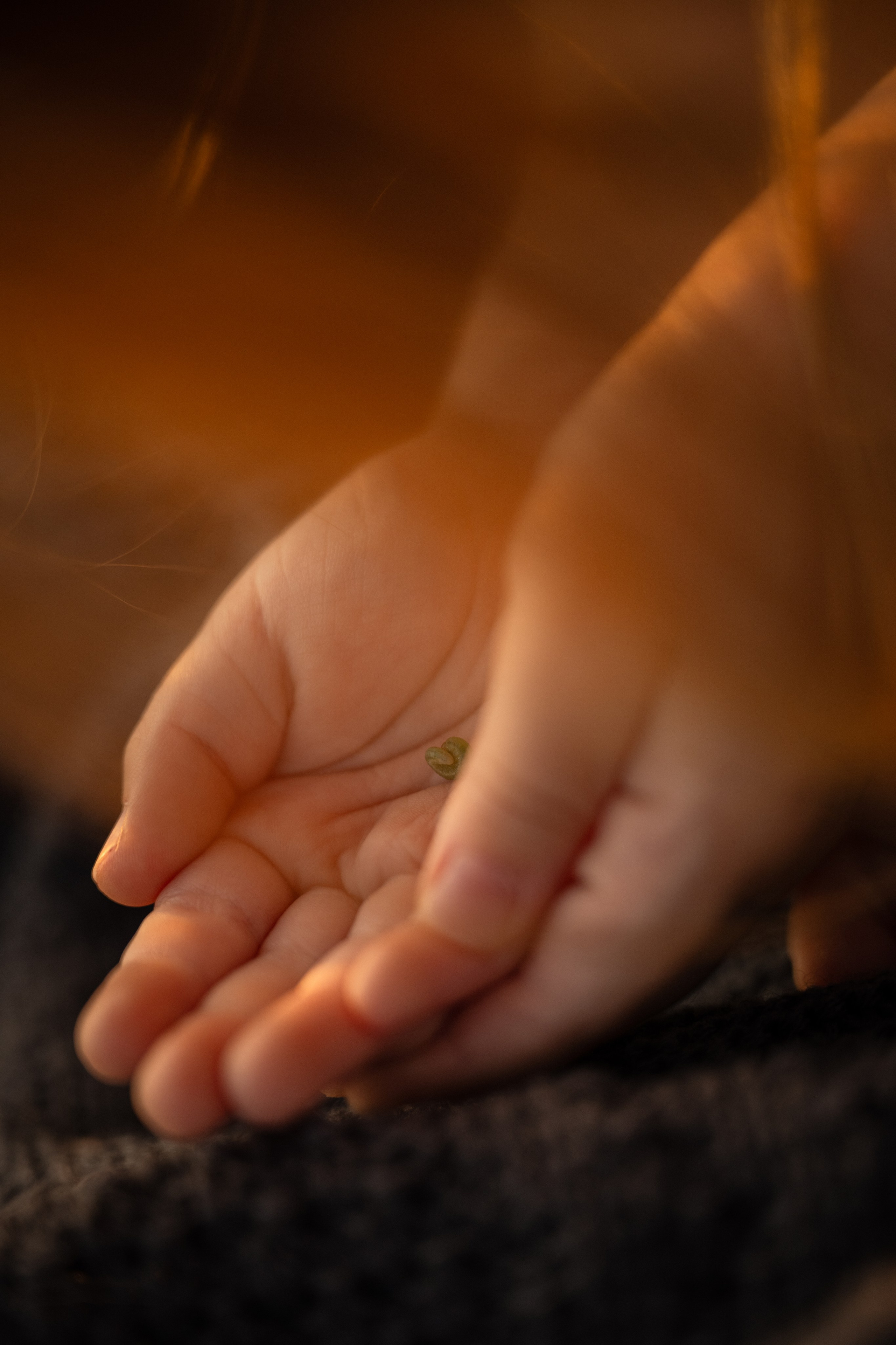 Алёна и Мирослава. Детский и семейный фотограф в Санкт-Петербурге и Ярославле Павлова Гал