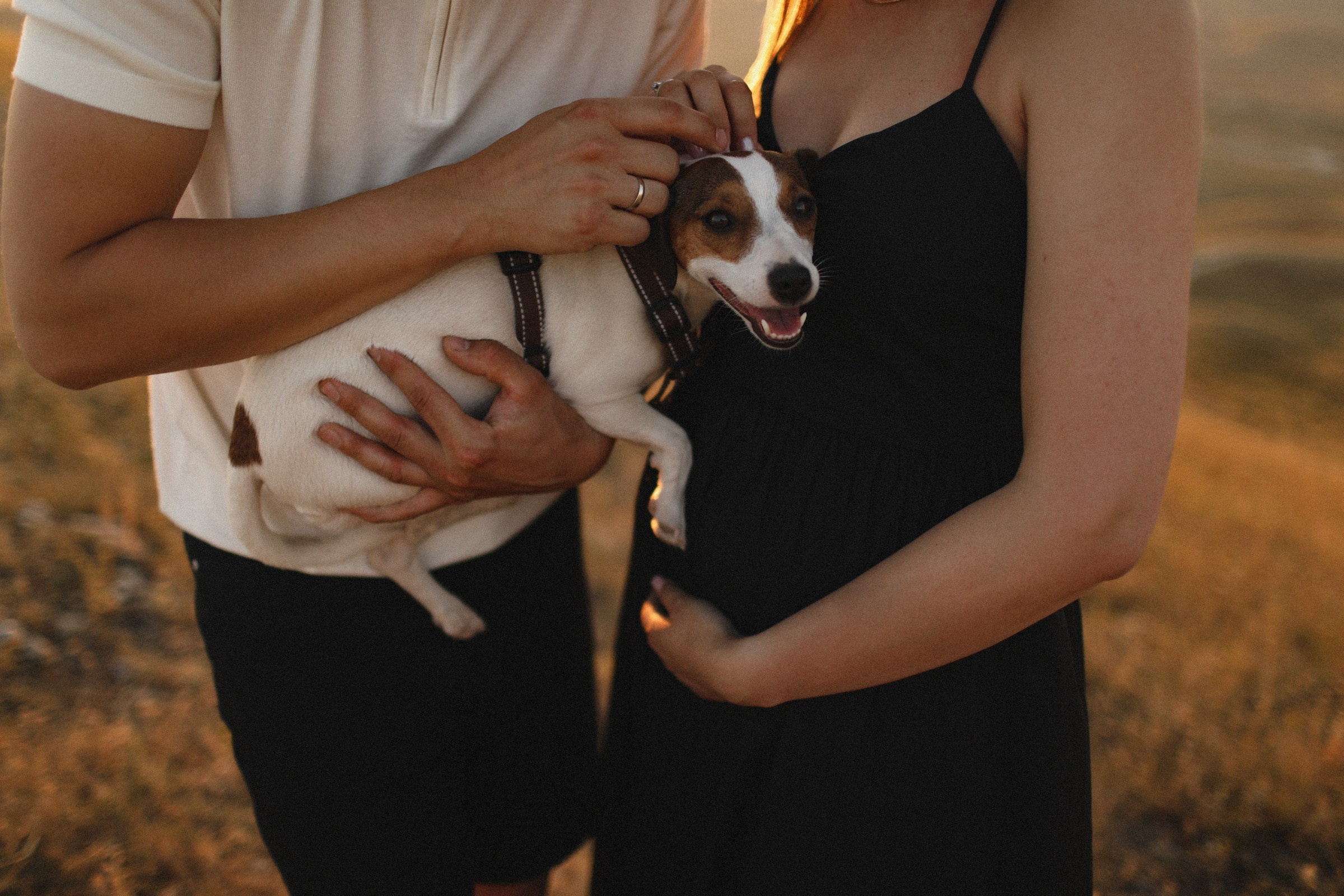 Гендер пати. Семейный фотограф в Москве Алевтина Носова