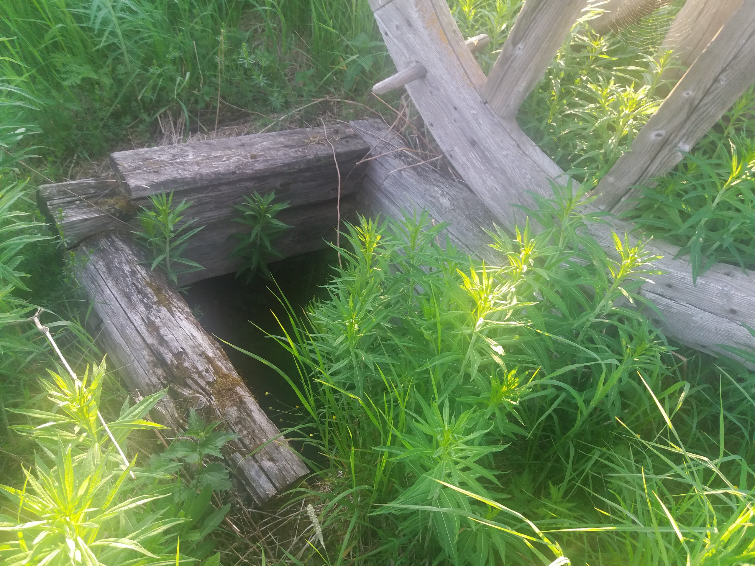 Чухлома — 20. Своя Мастерская