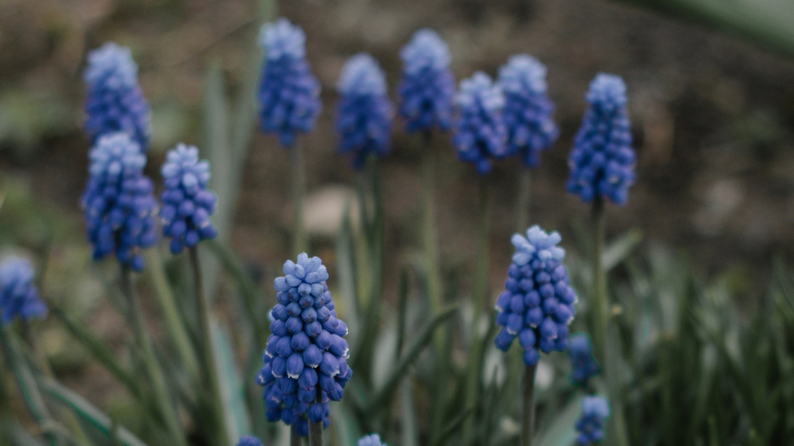 Женский, семейный фотограф в Санкт-Петербурге Катерина Ващенко