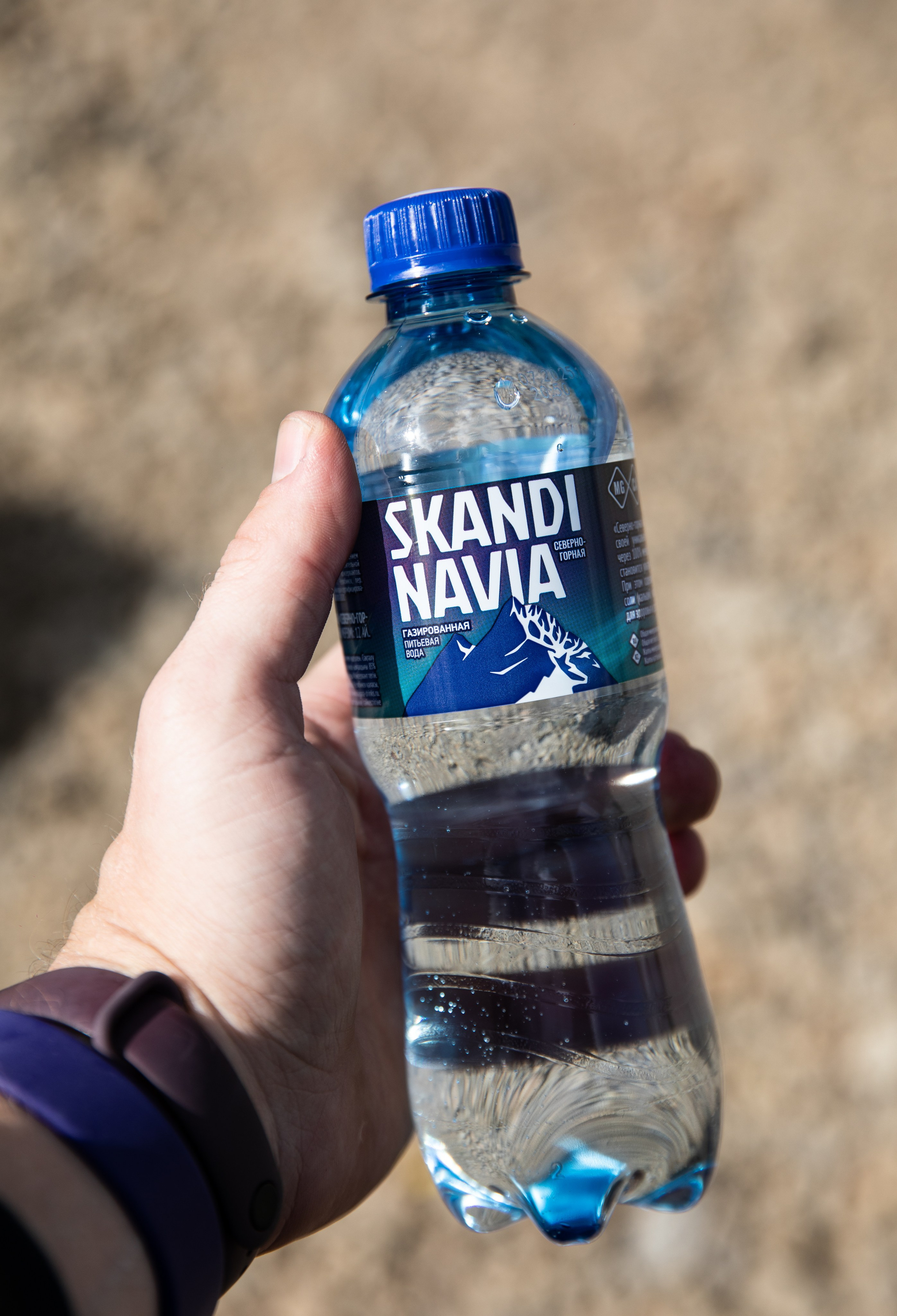 Приют — Наш дом. Репортажный и свадебный фотограф в Челябинске Елисеев Павел