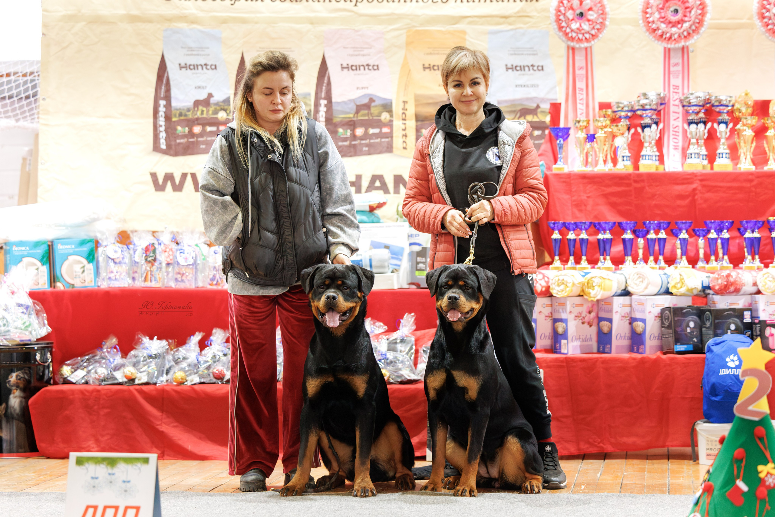 Тверь 21.12.2025. Фотограф-анималист Юлия Германика