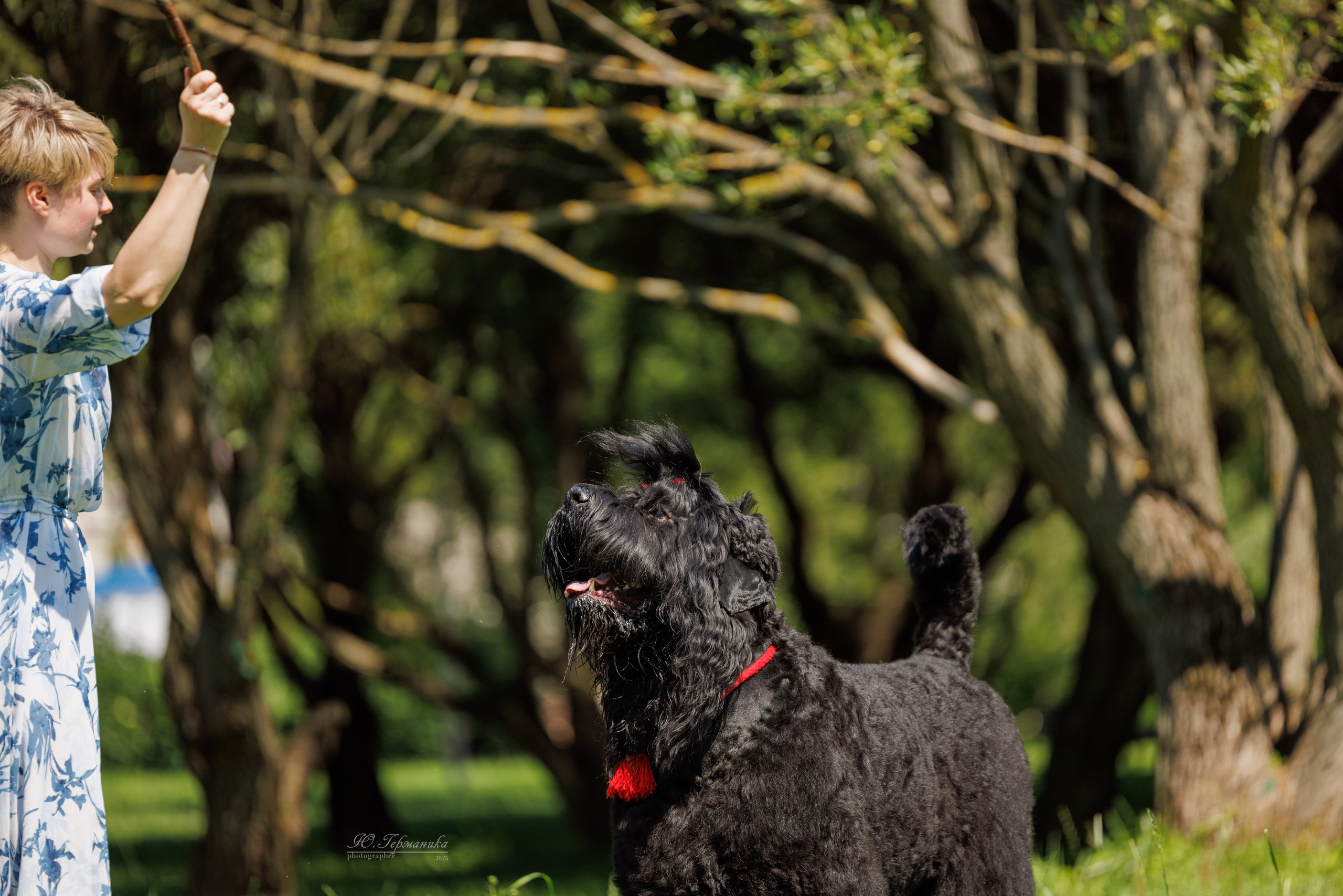 Фотосет Бригада УХ)). Фотограф-анималист Юлия Германика