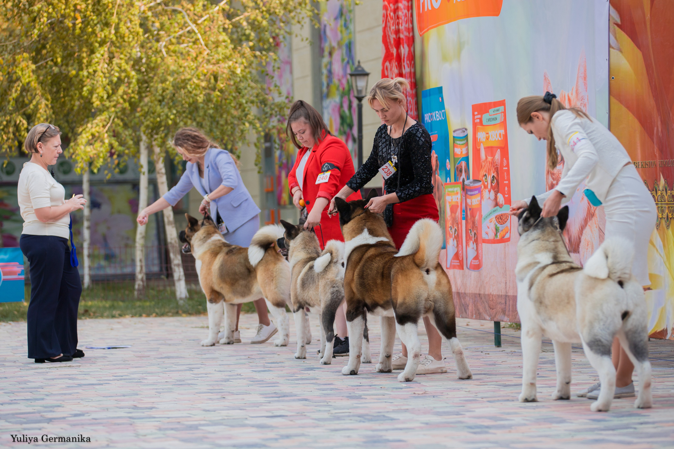Ташкент 6-8.10.2023 + Алматы 14-15.10.2023. Фотограф-анималист Юлия Германика