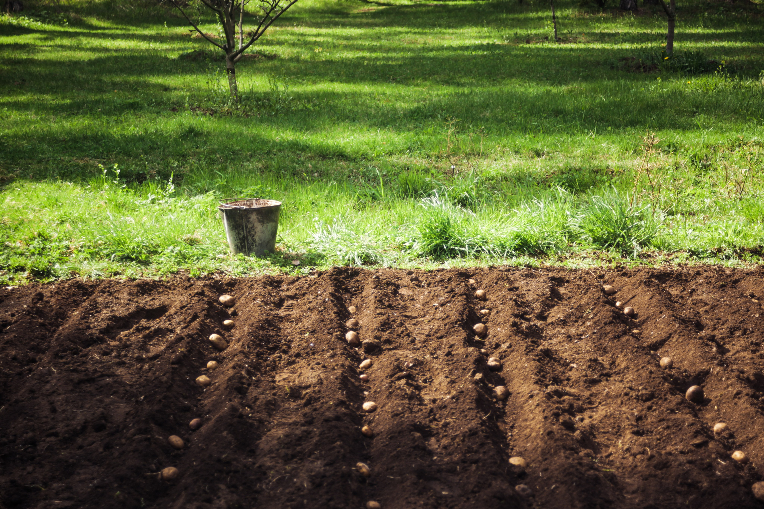 Природа. Трандин Иван Фотограф СПб