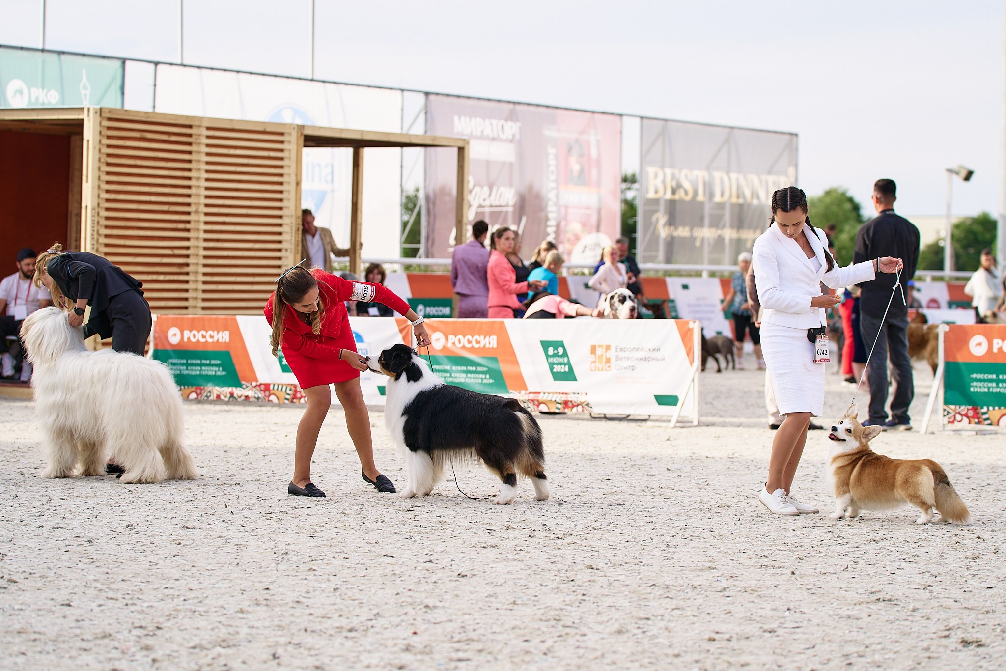 09.06.2024, «РОССИЯ. КУБОК МОСКВЫ 2024 & КУБОК ГОРОДОВ-ГЕРОЕВ»