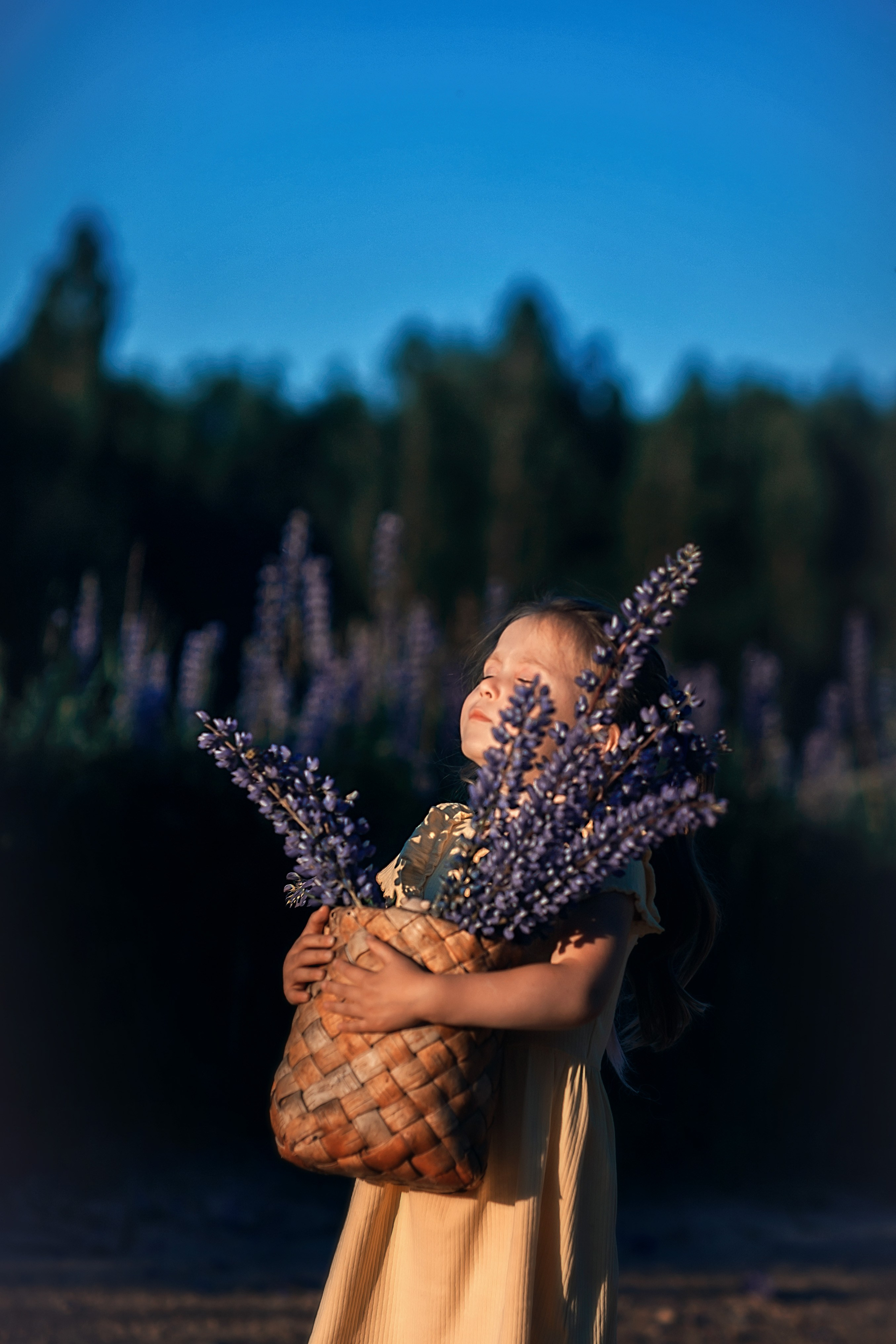 Люпины_Псковская область. Семейный фотограф в Санкт-Петербурге