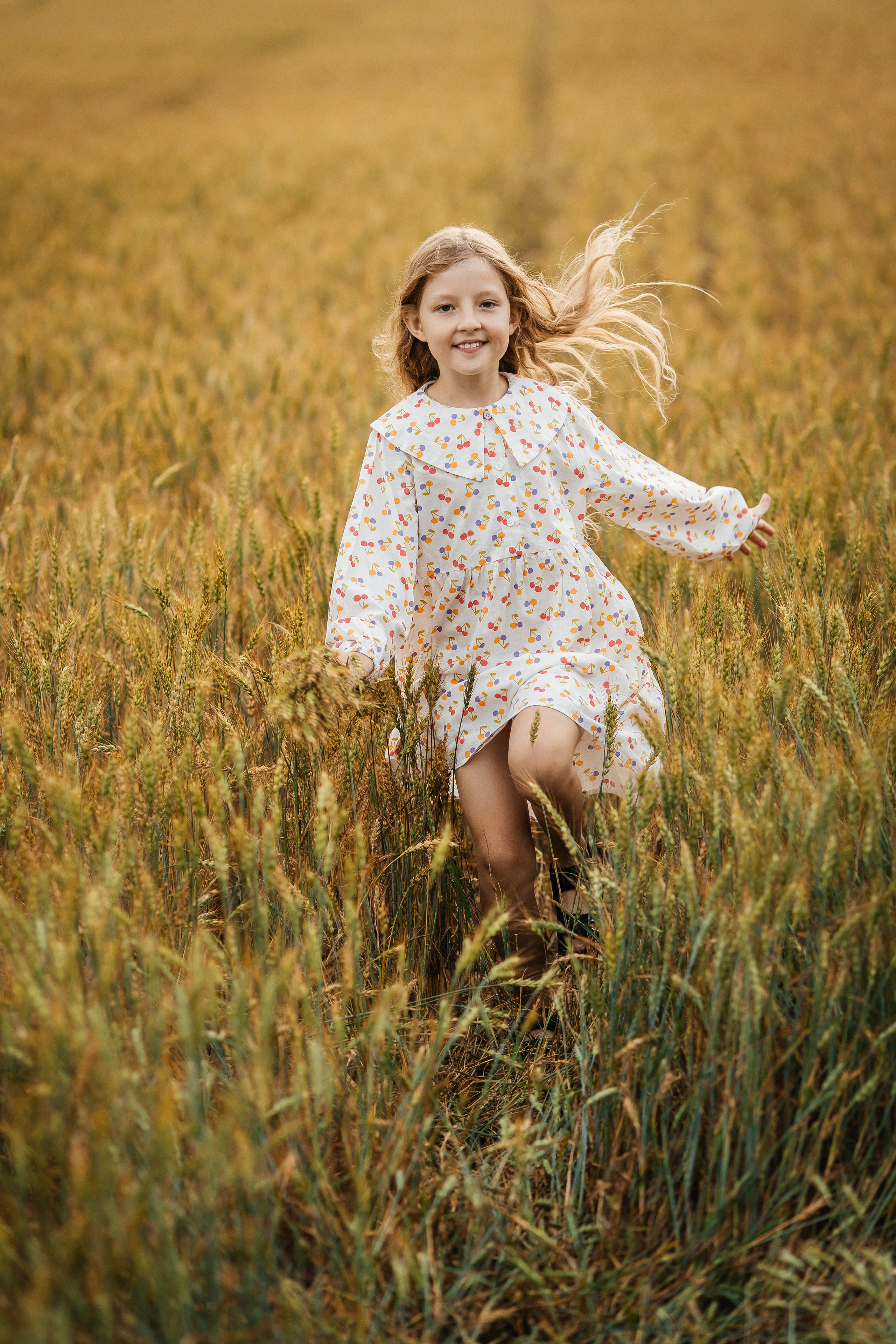 Пшеница. Olga.filippova.photo