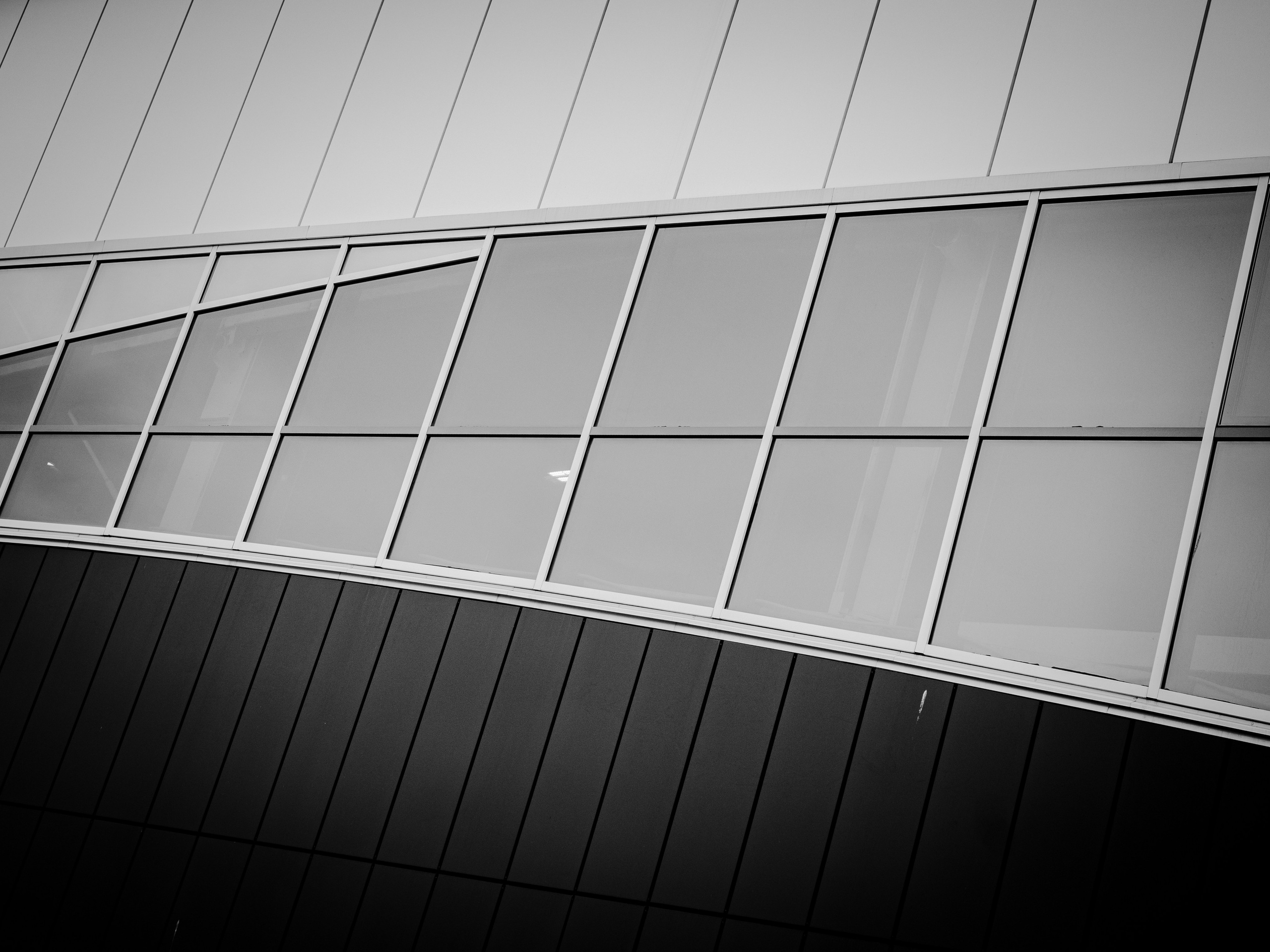 Swanky Media Group LTD. Фото и видеосъёмка Кемерово