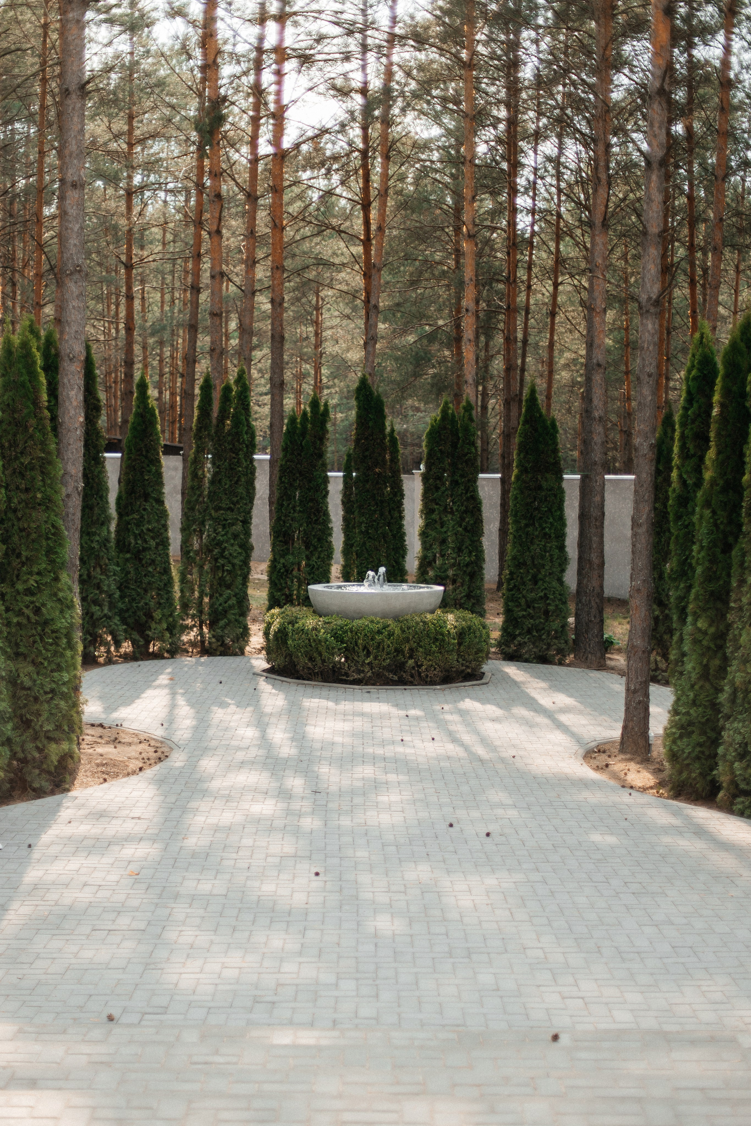 Матвей и Ксения. Свадебный фотограф и видеограф