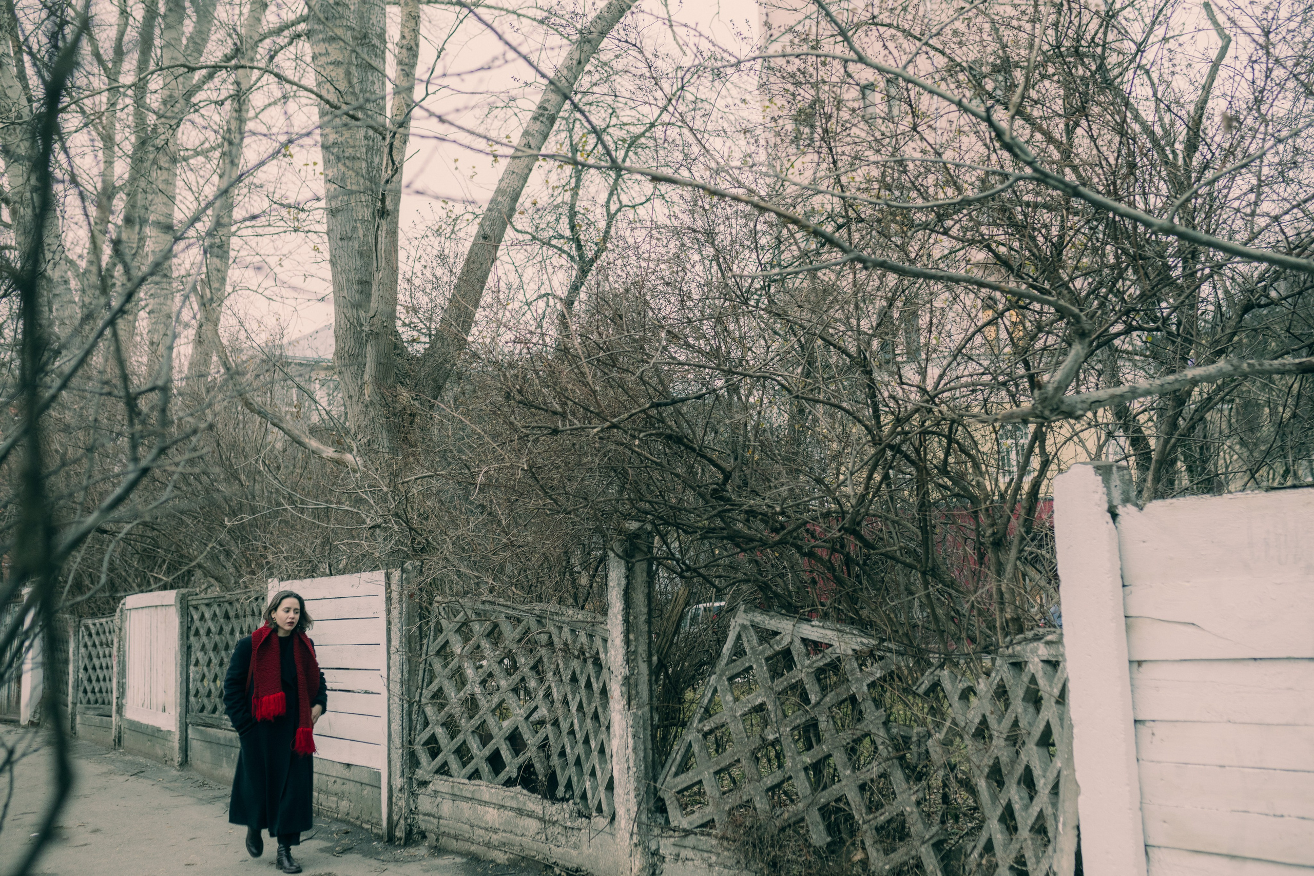 Вета. Женский семейный фотограф Тула Москва Захарова Анна