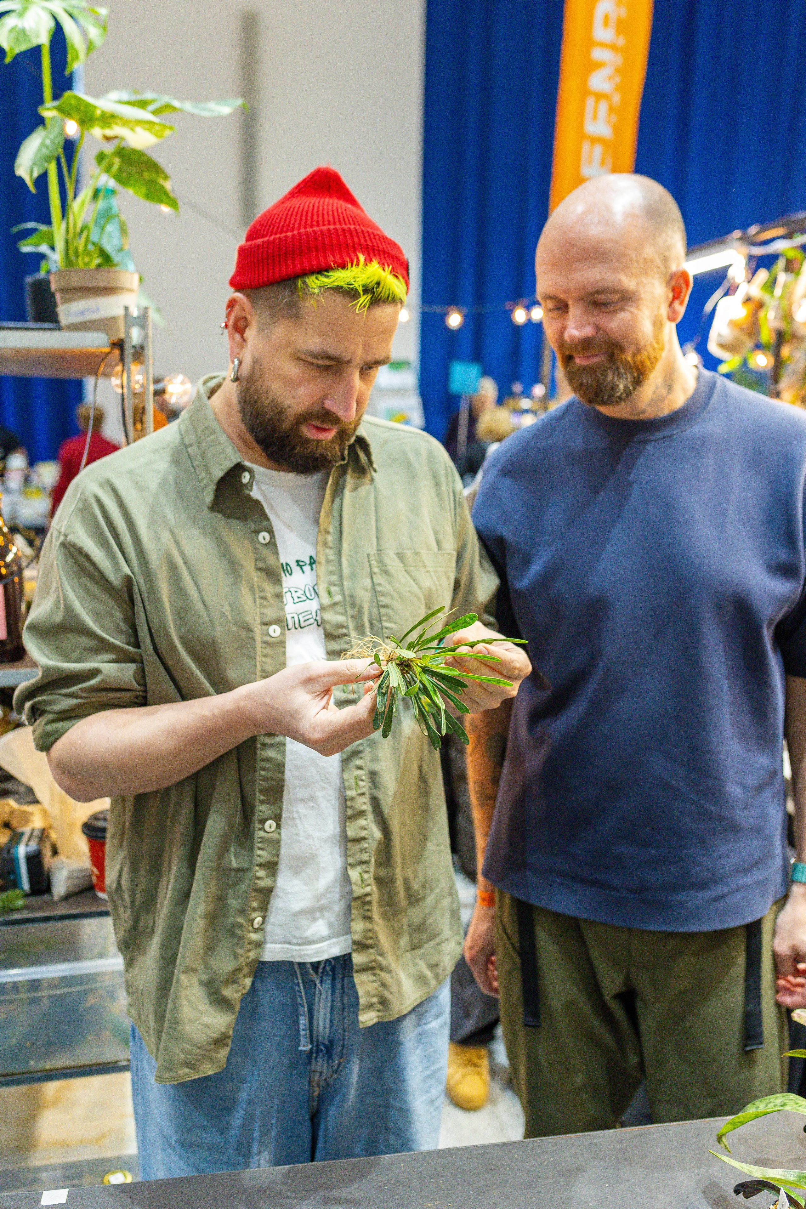 Орхидиум 12.2025. Александра Куликова фотограф, Москва