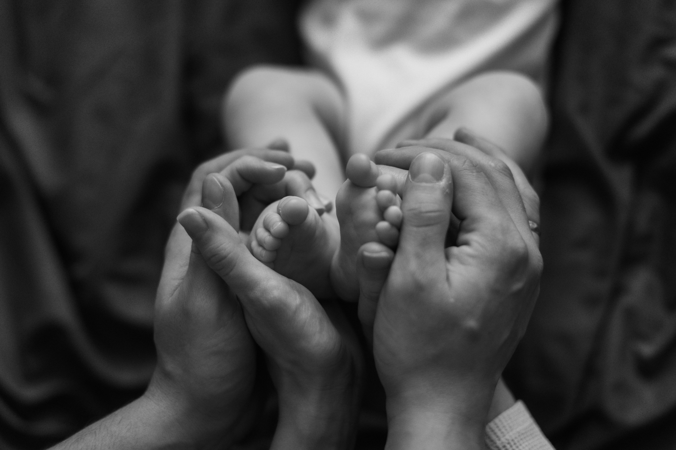 Джой и его семья. Фотограф — Анималист | Санкт-Петербург