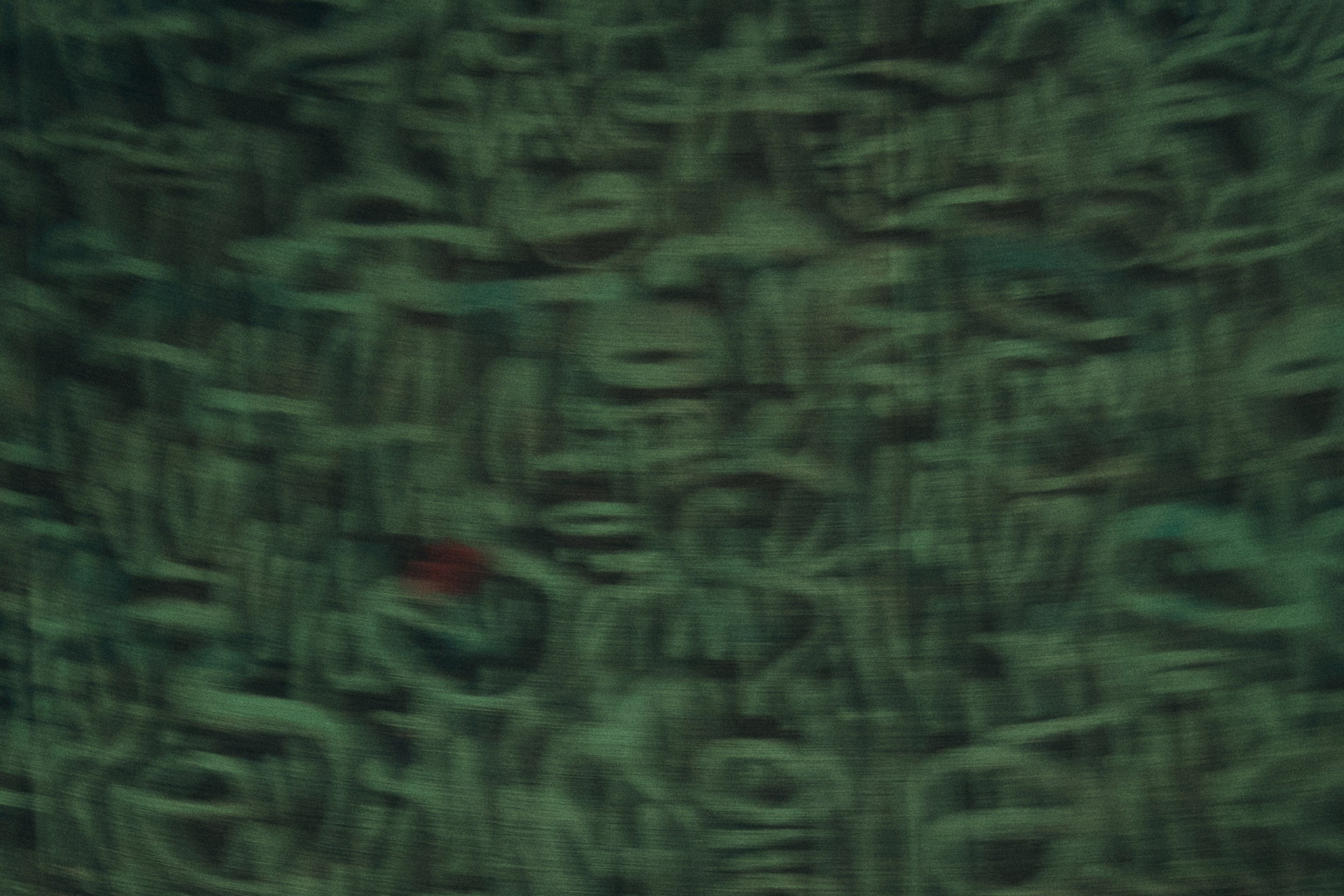 THE JOKER AND HARLEY QUINN. Дмитрий Мазуркевич: Профессиональный Репортажный Фотограф