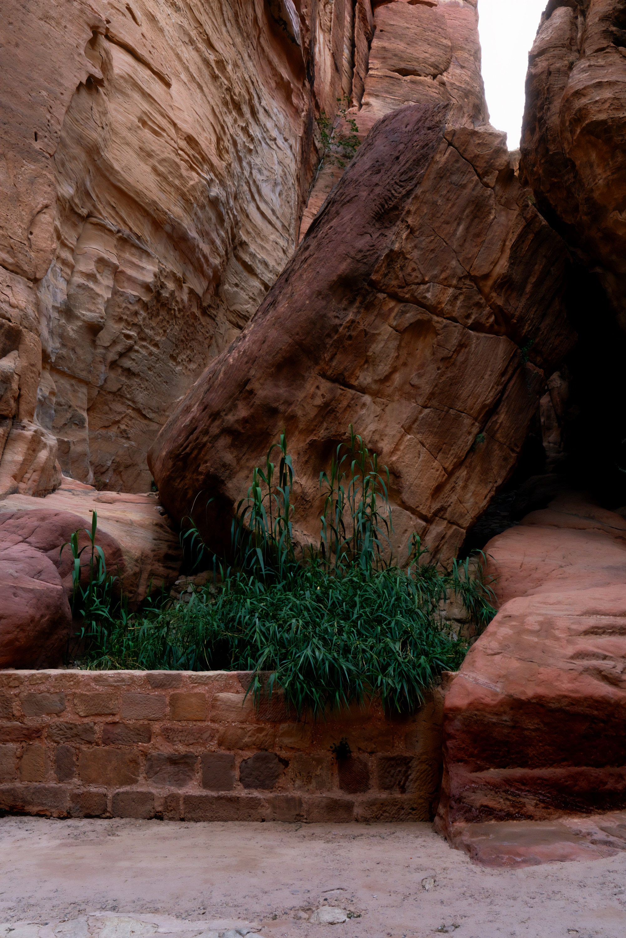 Турция, Греция, Иордания. Фотограф в Хабаровске. Фотография за 24 часа