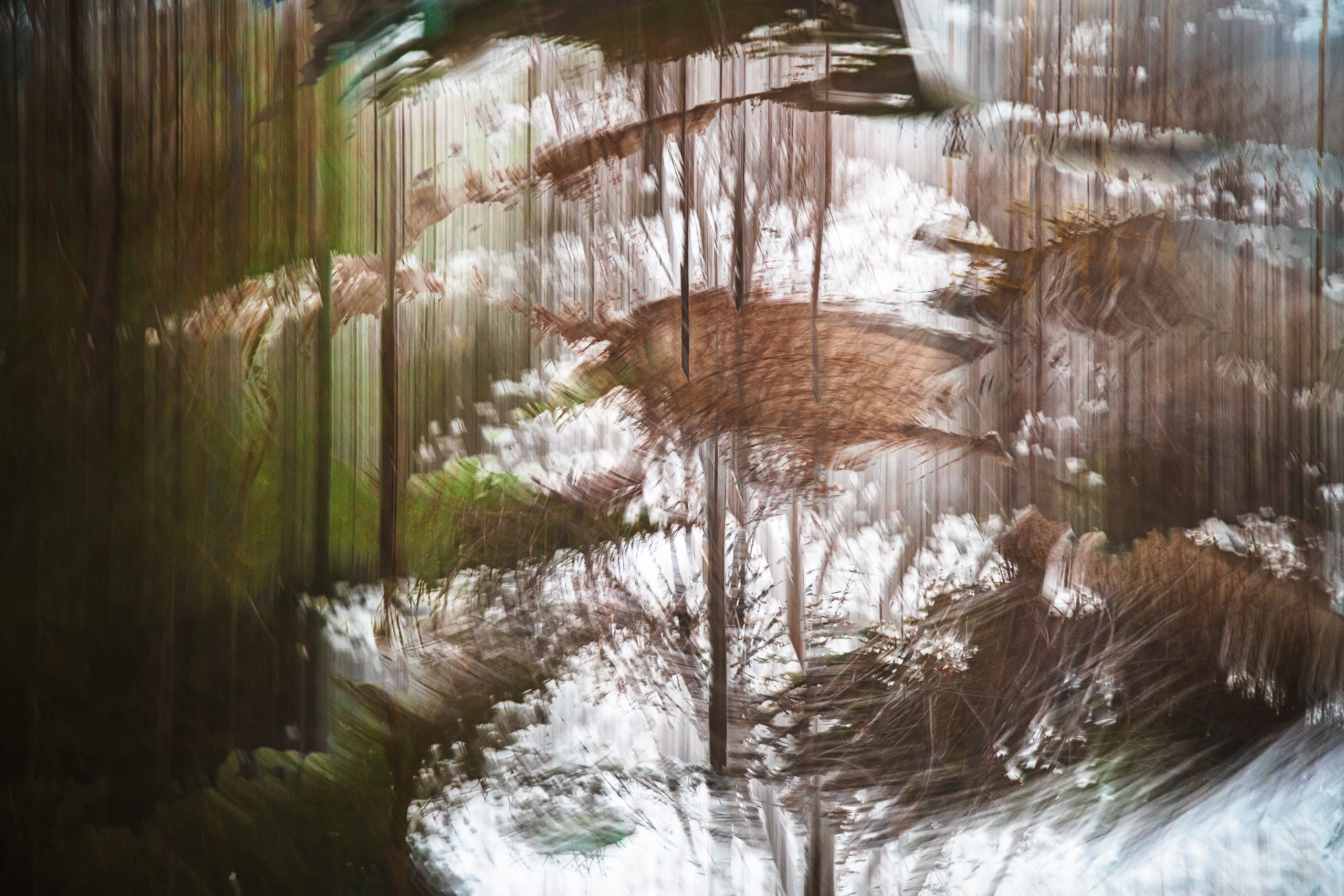 Вид из моего окна (мультиэкспозиция). Скульптуры из воды Сергея Толмачева