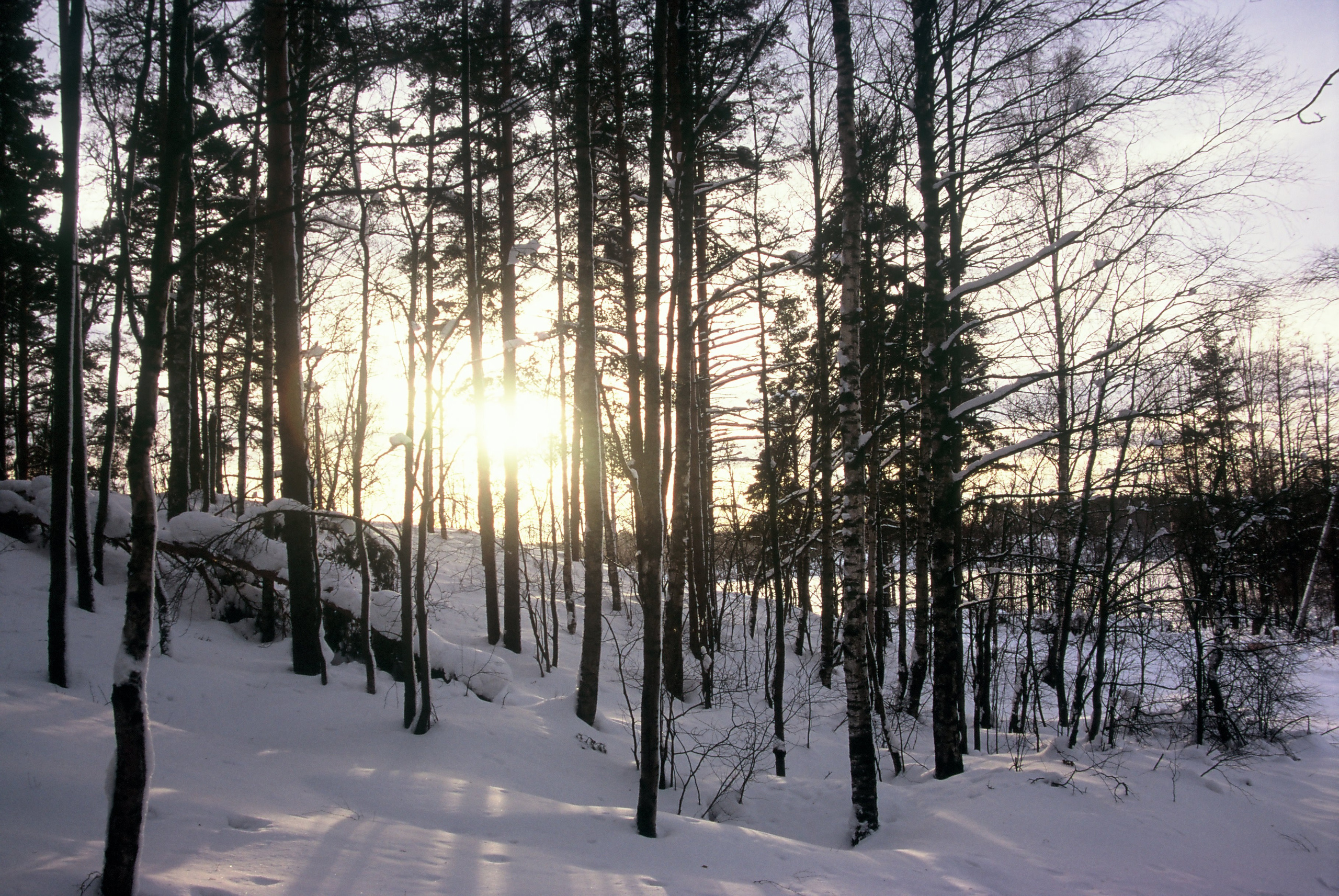 Film. Ruslan UI Dev Page