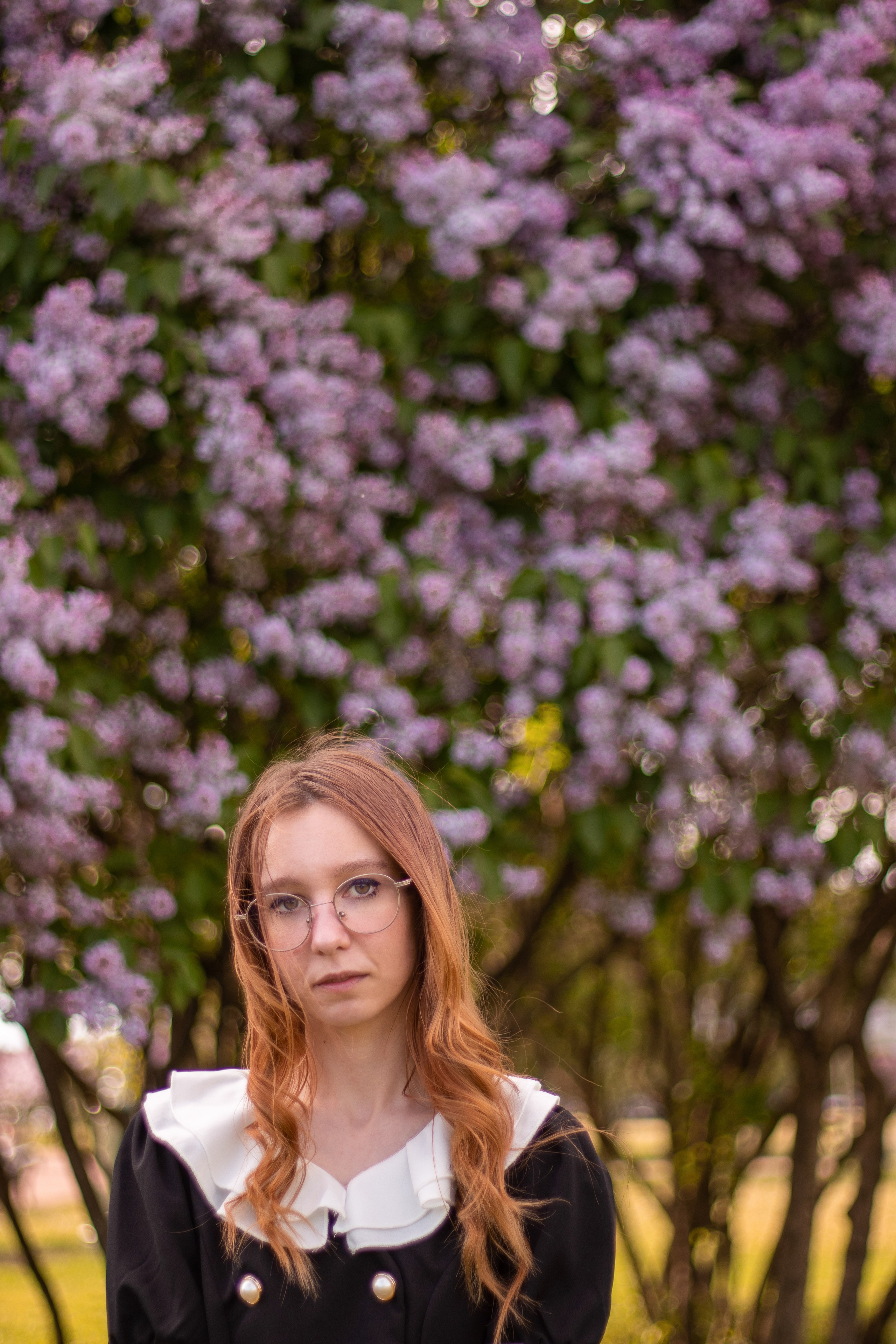 Цветение сирени, Санкт-Петербург 2022. Фотограф NotSilver