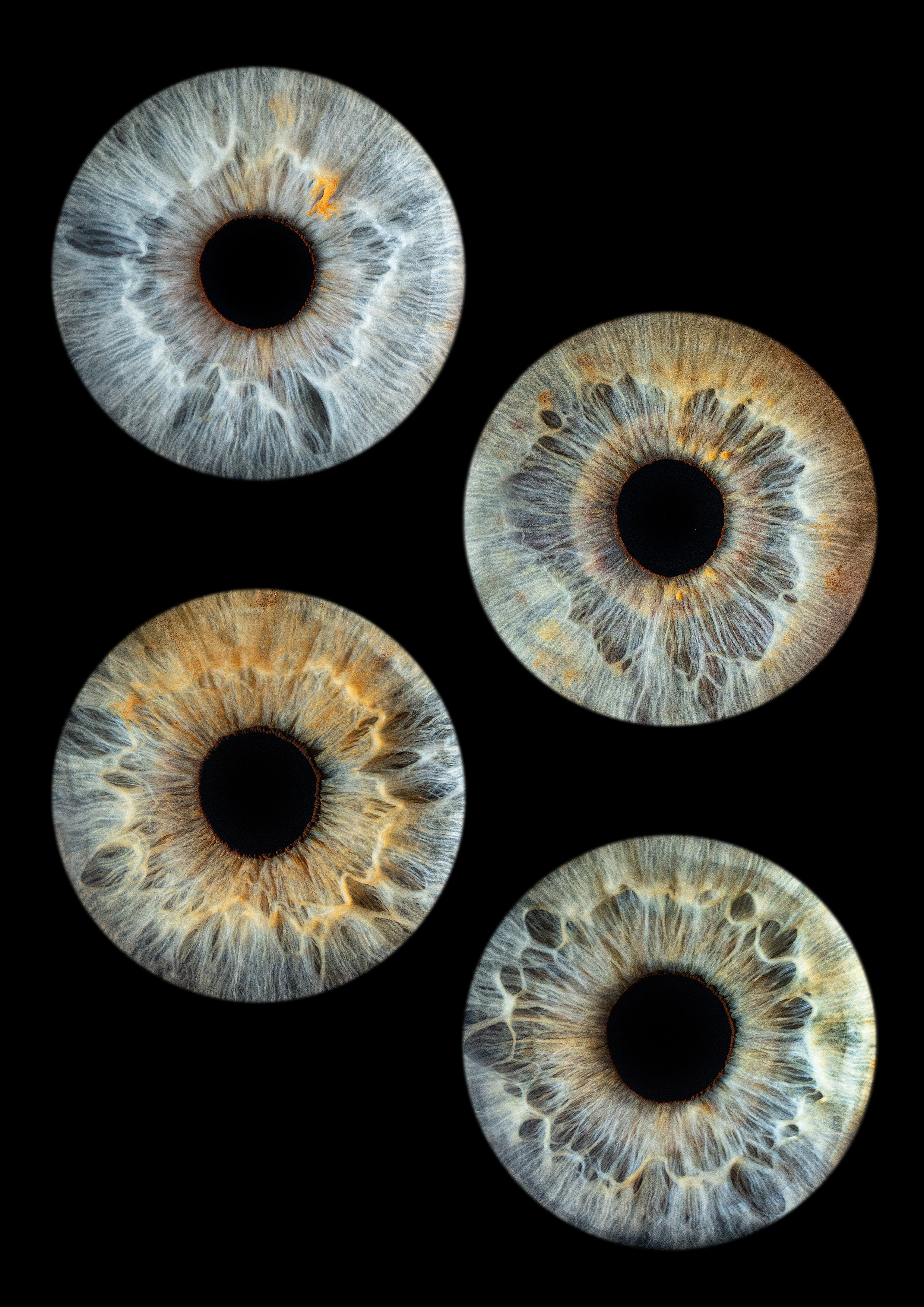 фотография радужки глаза Хабаровск фото радужки глаза Хабаровск