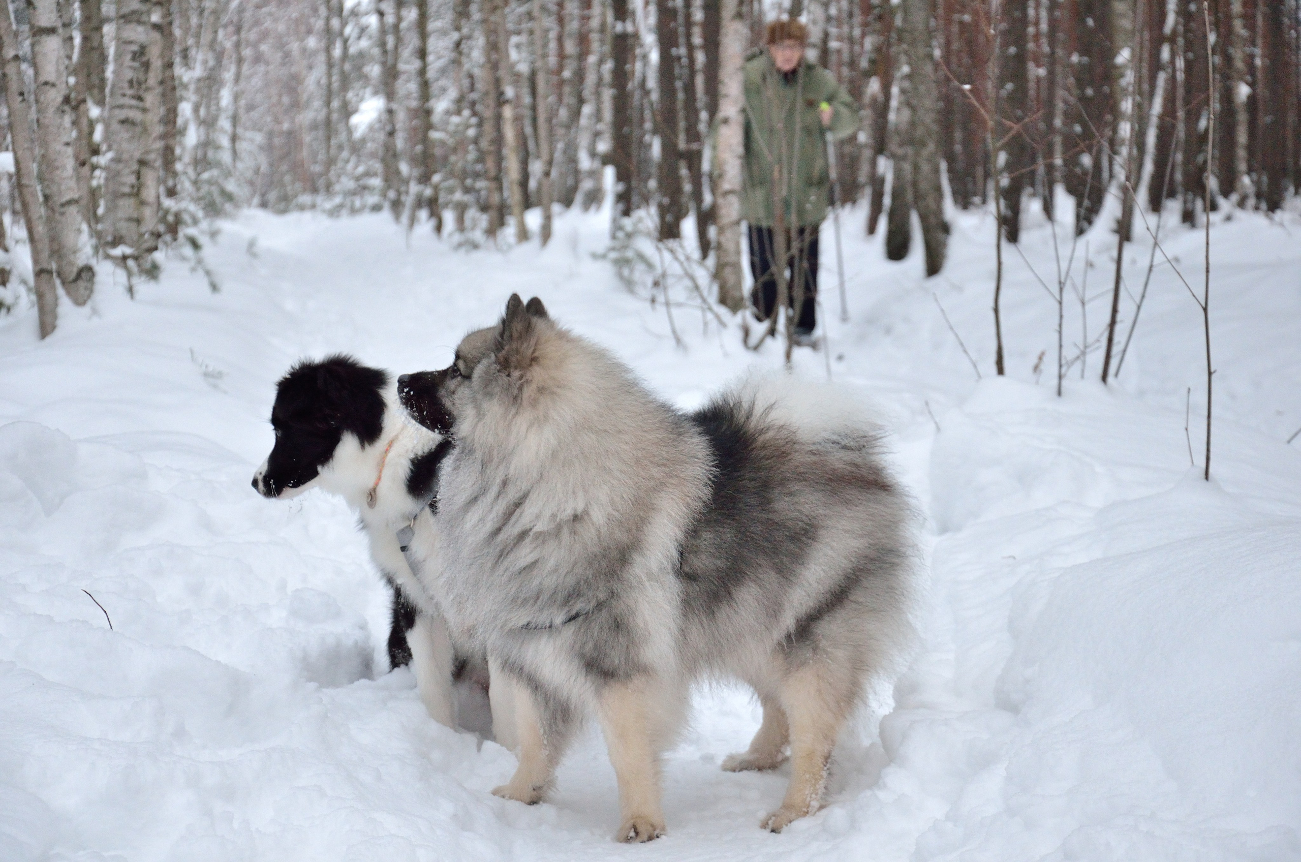 Муня. Добро пожаловать на мой сайт, меня зовут Наталия, я фотограф