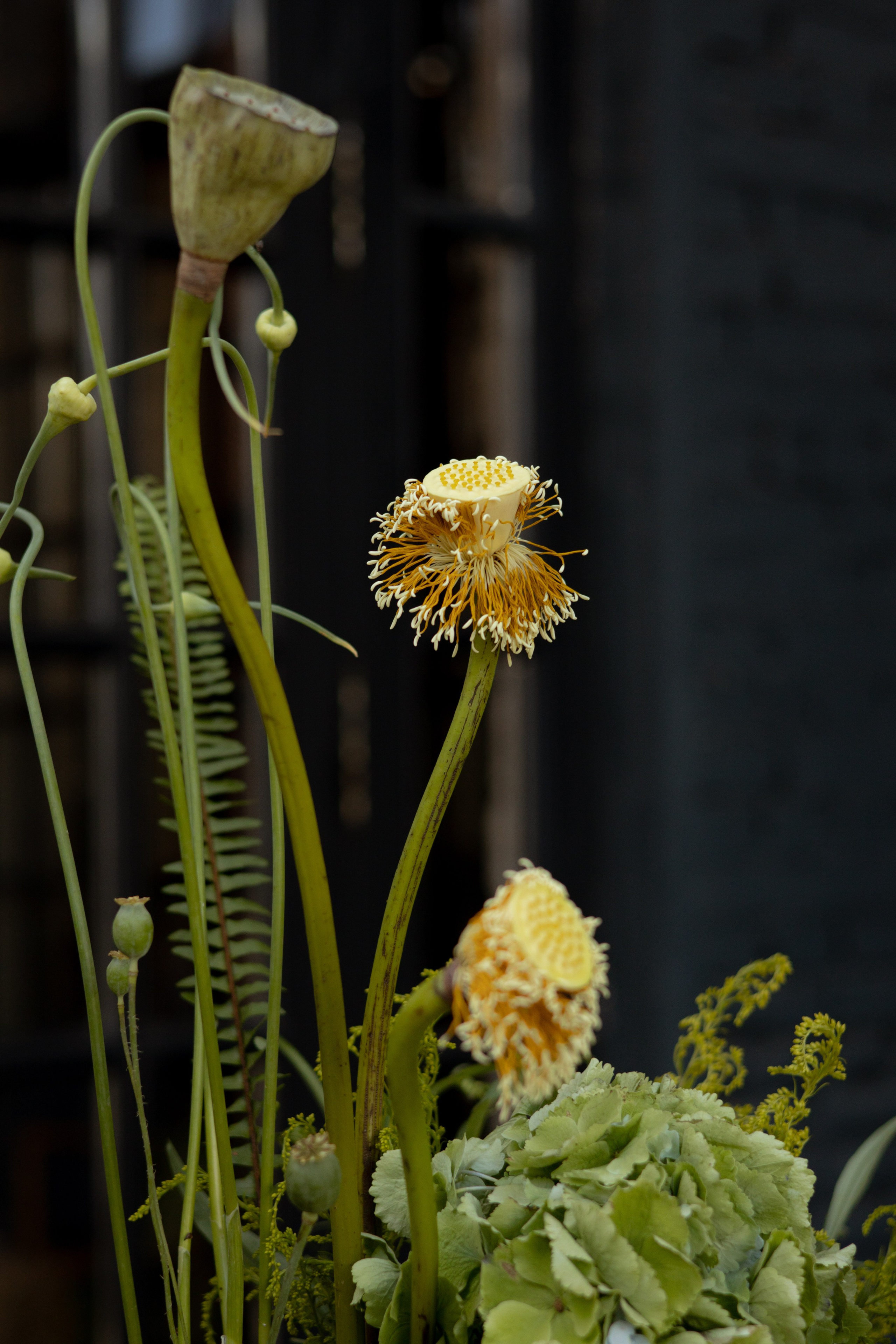 Никита & Катя. Оформление свадеб, декор свадеб Вера Маркова, Москва