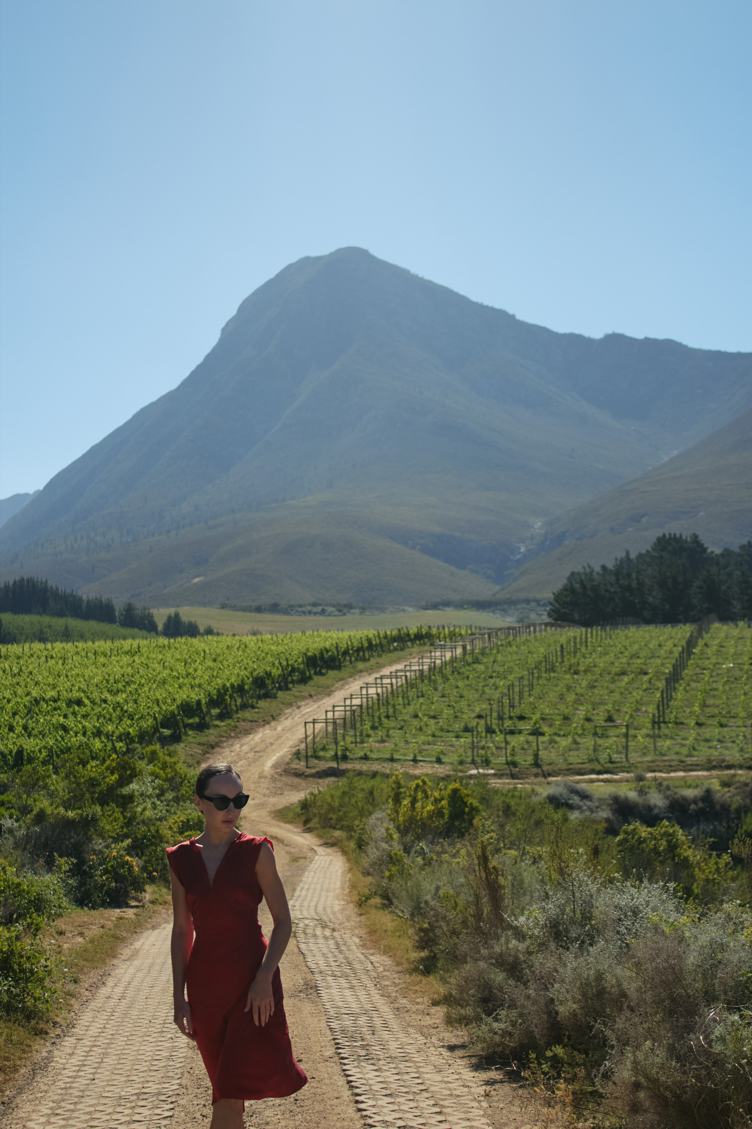 ЮАР. Профессиональный Фотограф во Владимире, в Москве и в Суздале — Полина Романычева