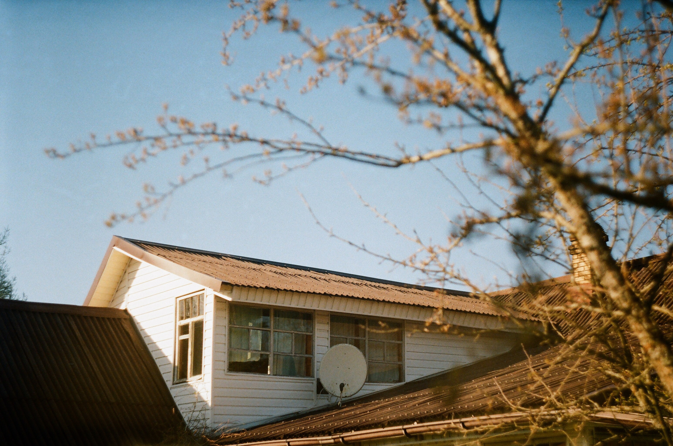 Пленочные съемки. Фотограф YODLUCE