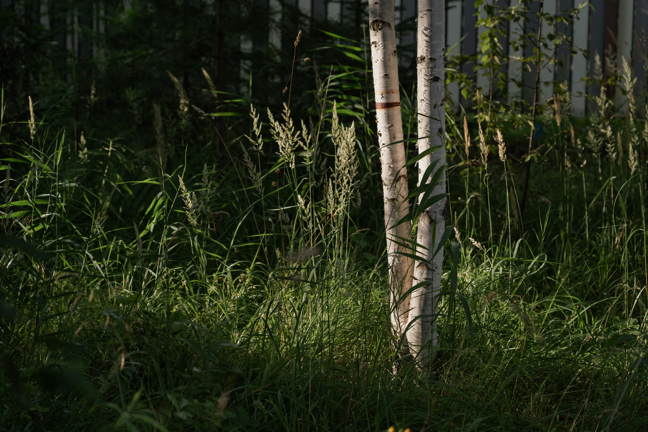 Private house, Tver region, Konakovo. Артамонов Александр | Архитектурный и ландшафтный фотограф