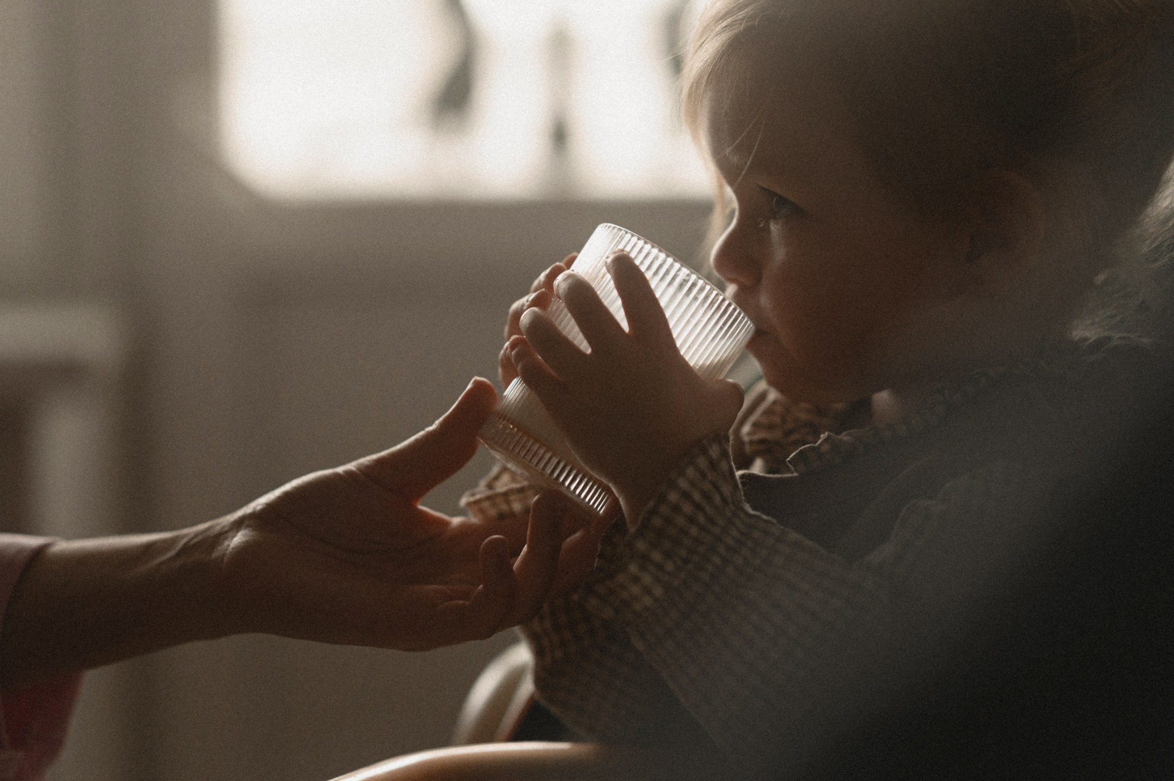 Сергей, Регина и Олива. Свадебный и семейный фотограф в Ростове-на-Дону