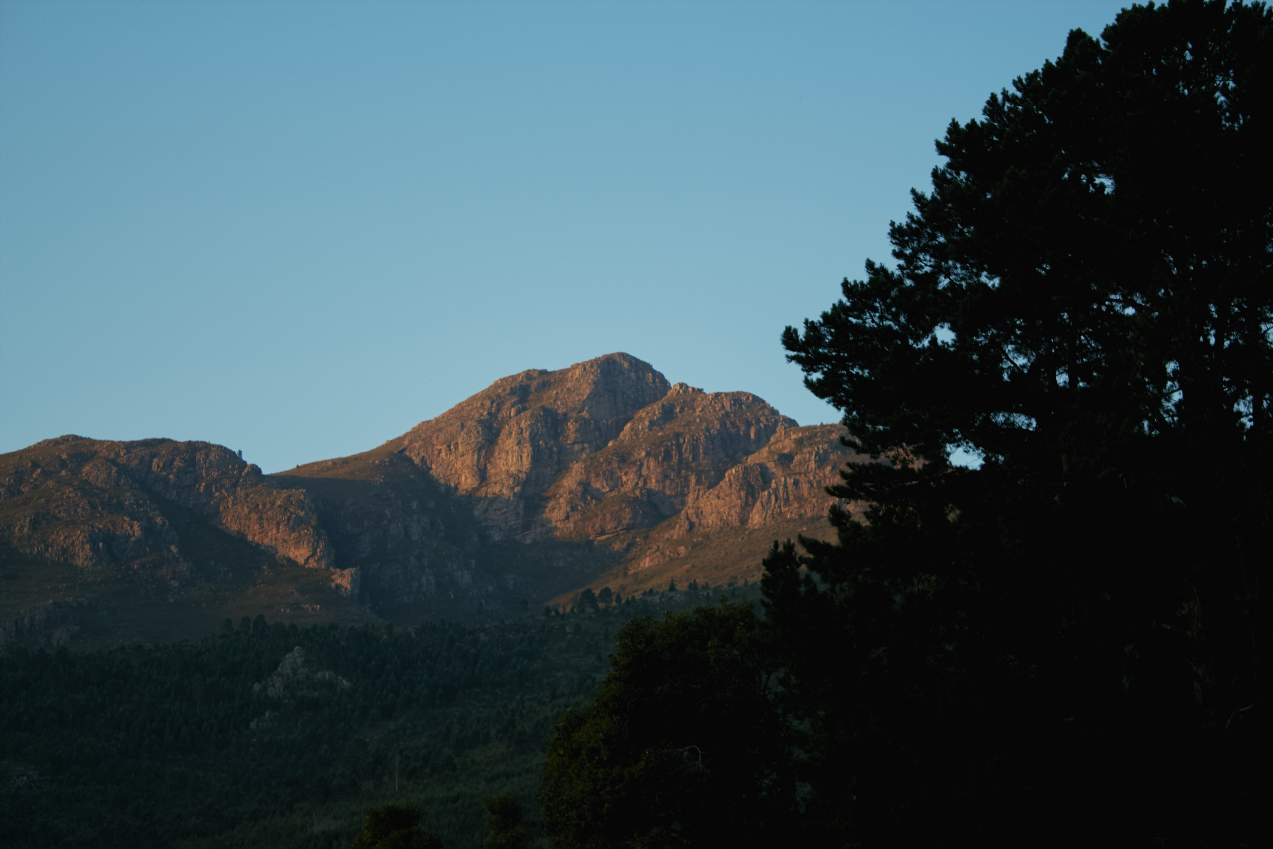 ЮАР. Профессиональный Фотограф во Владимире, в Москве и в Суздале — Полина Романычева