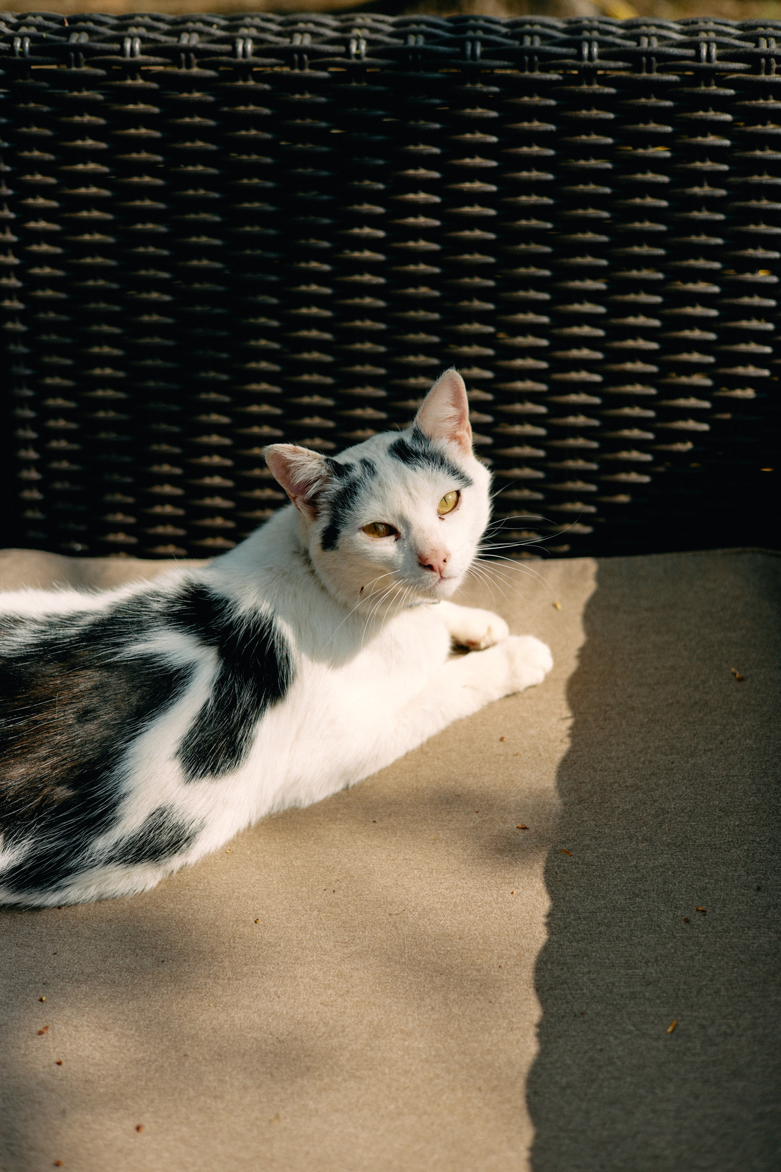 Бутик-отель Поле летом. Профессиональный Фотограф во Владимире, в Москве и в Суздале — Полина Романычева