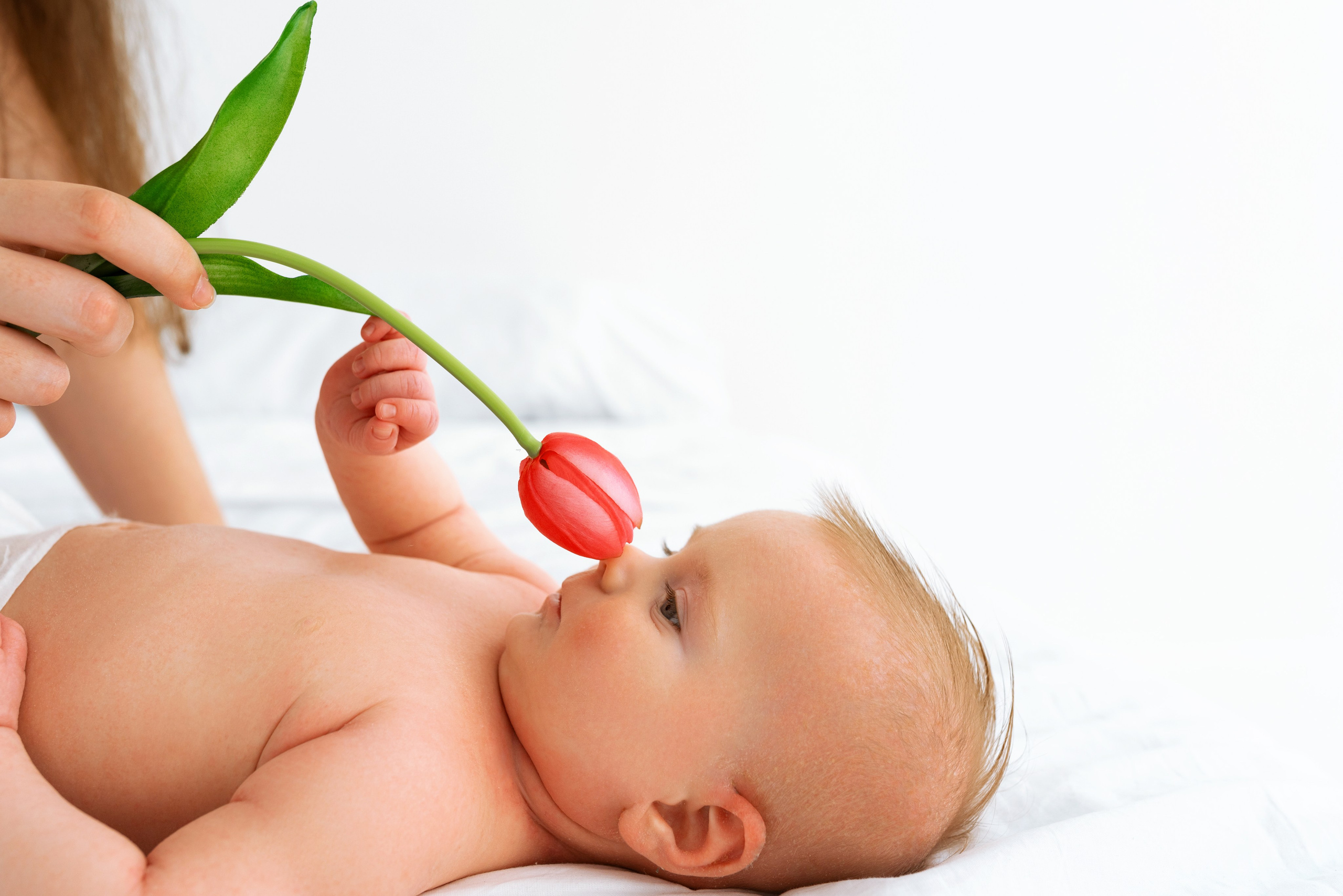 Эллай (6 месяцев)