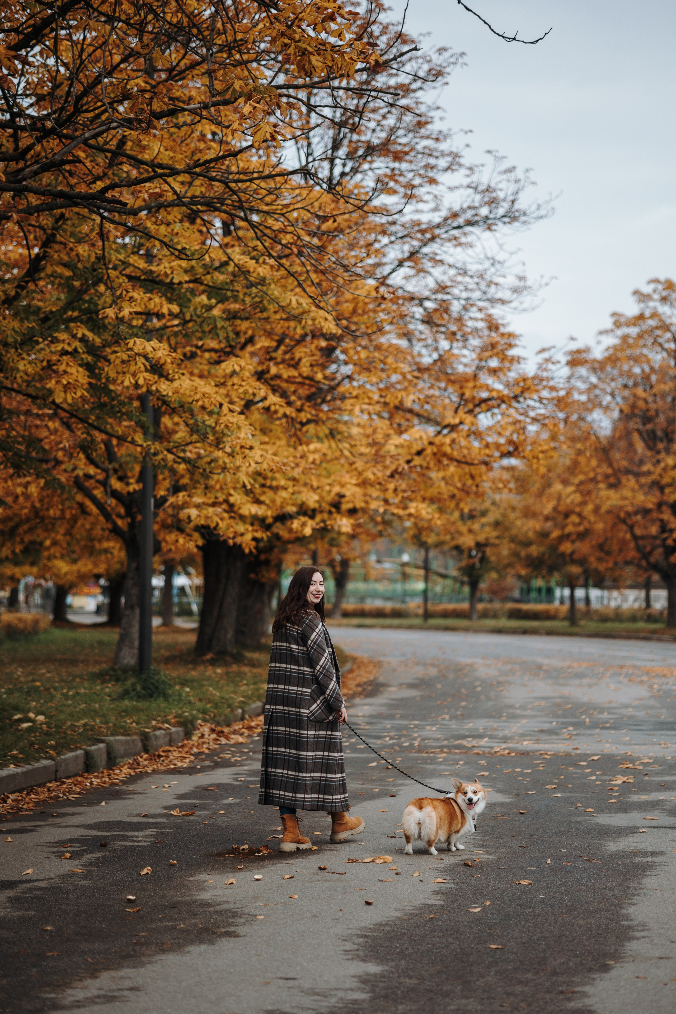 Юля и Терри. Фотограф — Анималист | Санкт-Петербург