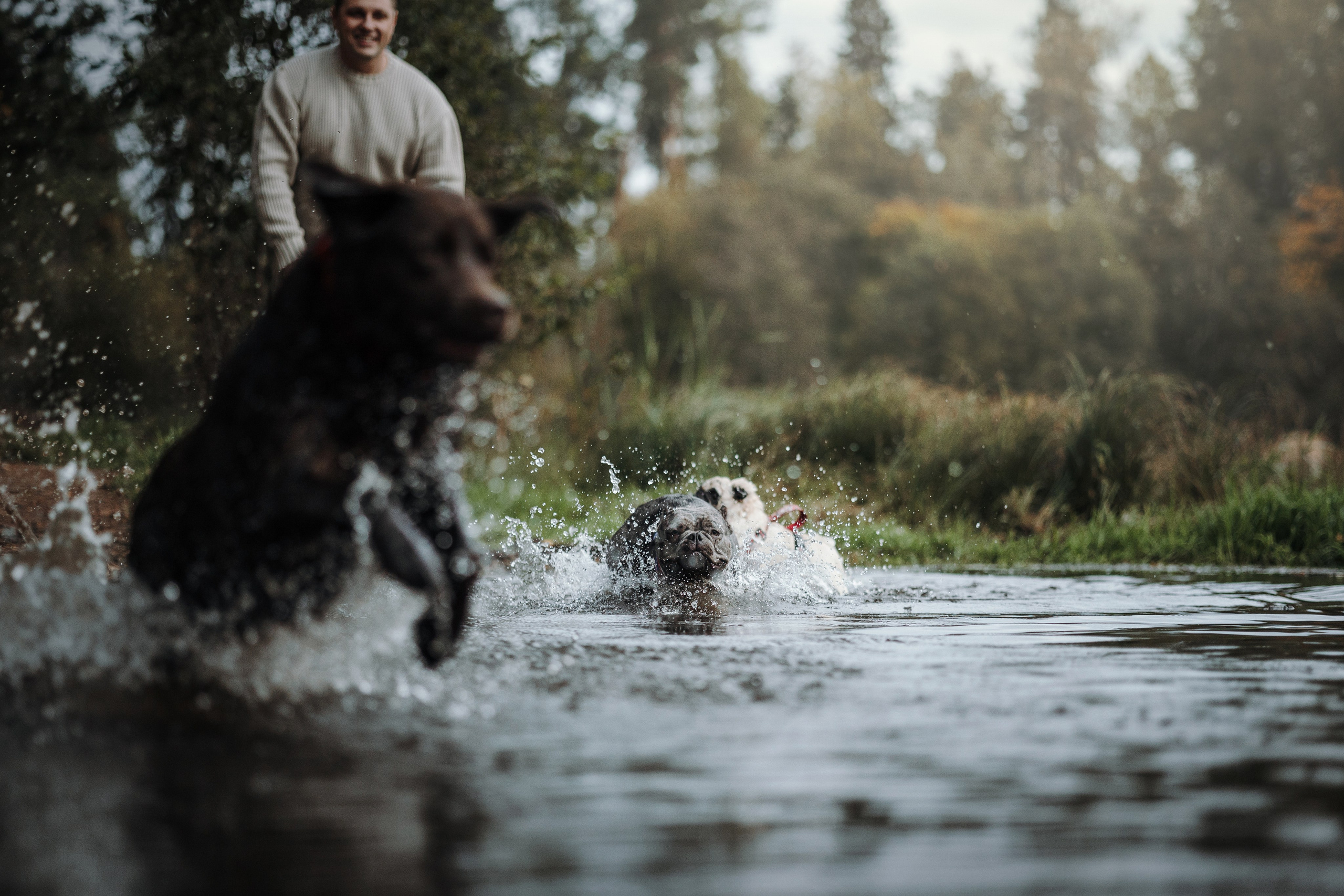 Девочки и их семья. Фотограф — Анималист | Санкт-Петербург