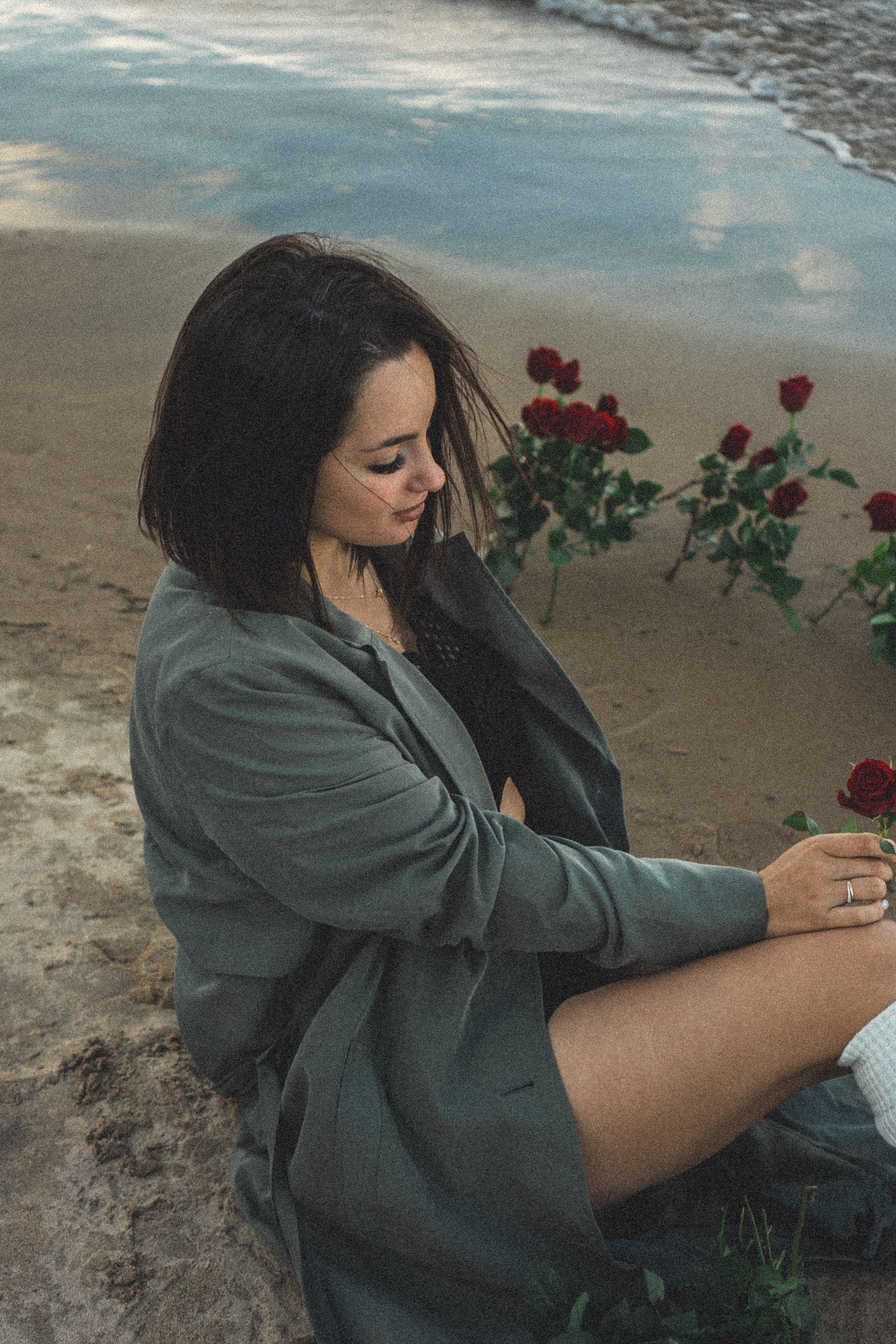 Розы. Профессиональный фотограф, Санкт-Петербург — Виктория Богомолова