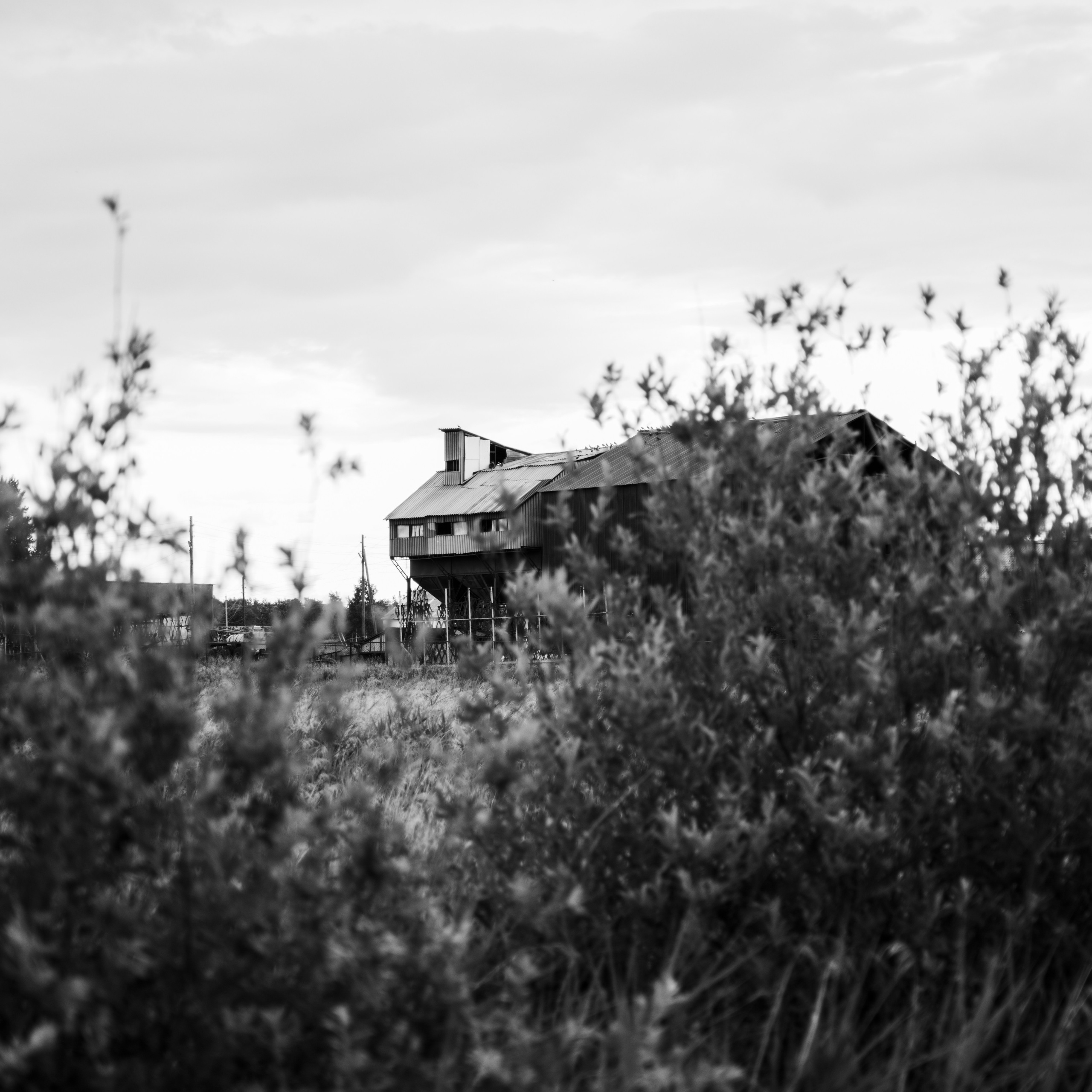 The Barn of Shadows. Whoii art