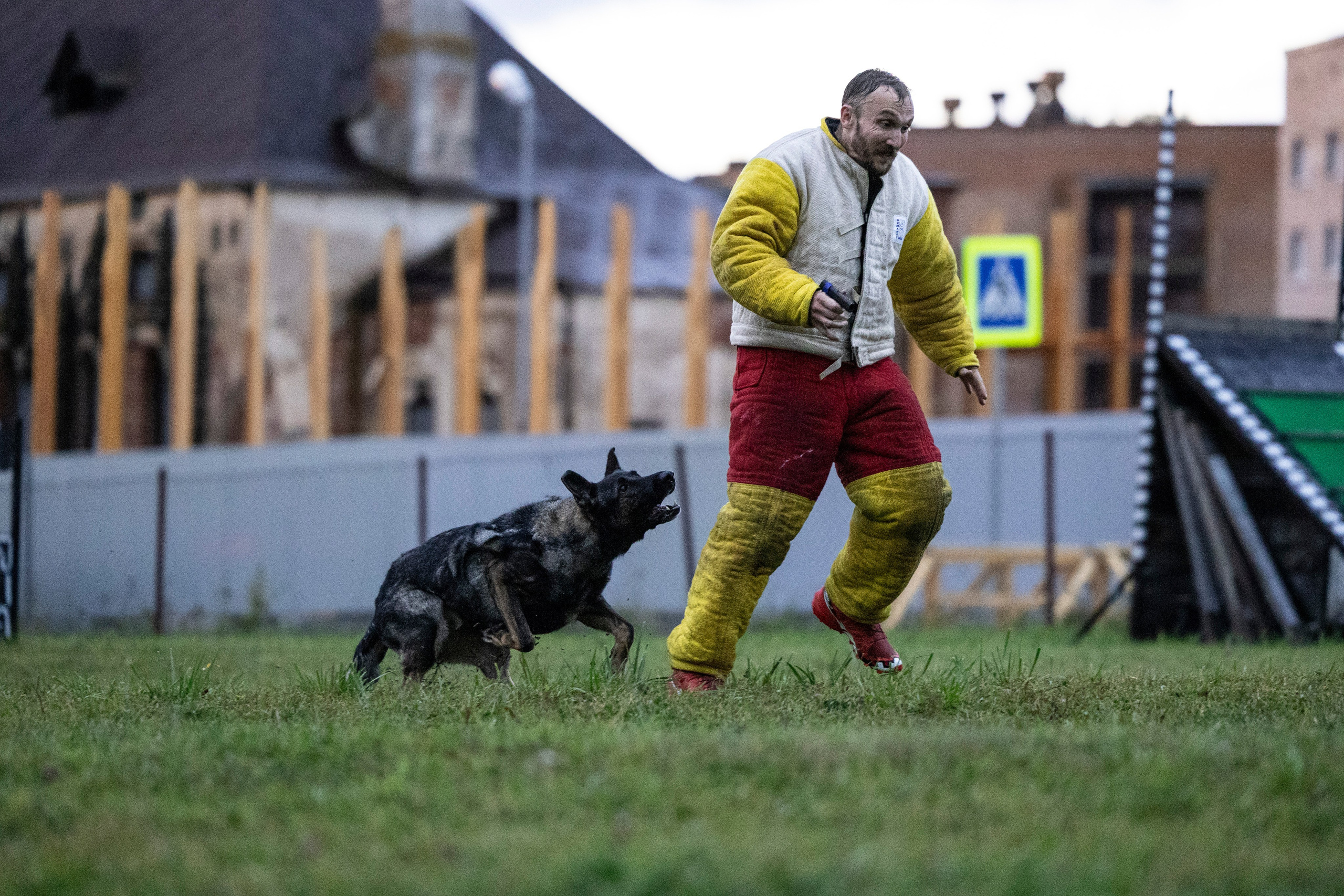 Испытания по Мондьорингу г. Пушкин. Фотограф-анималист Анна Маринич