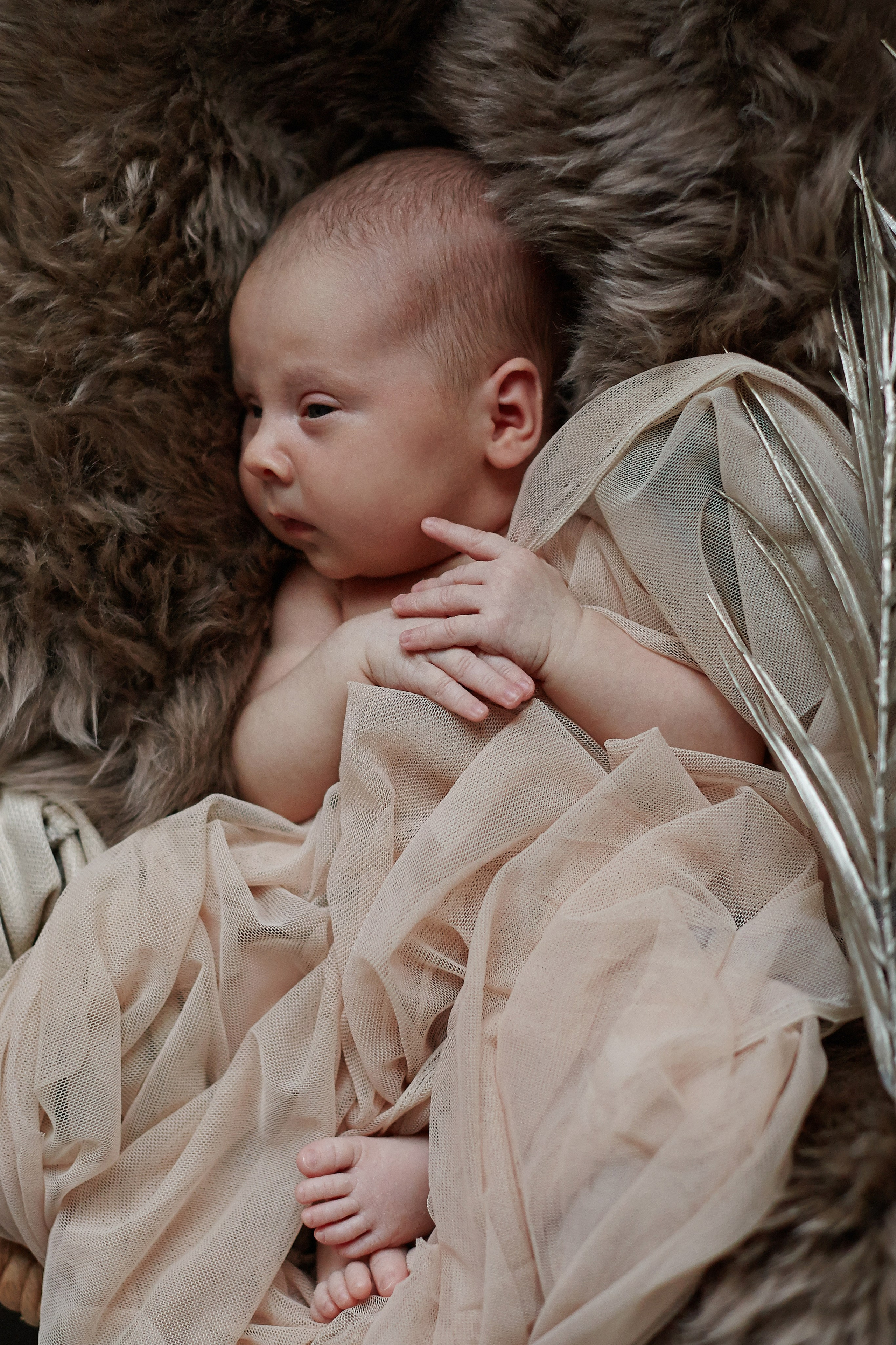 Есения. Фотограф Ольга Ефремова