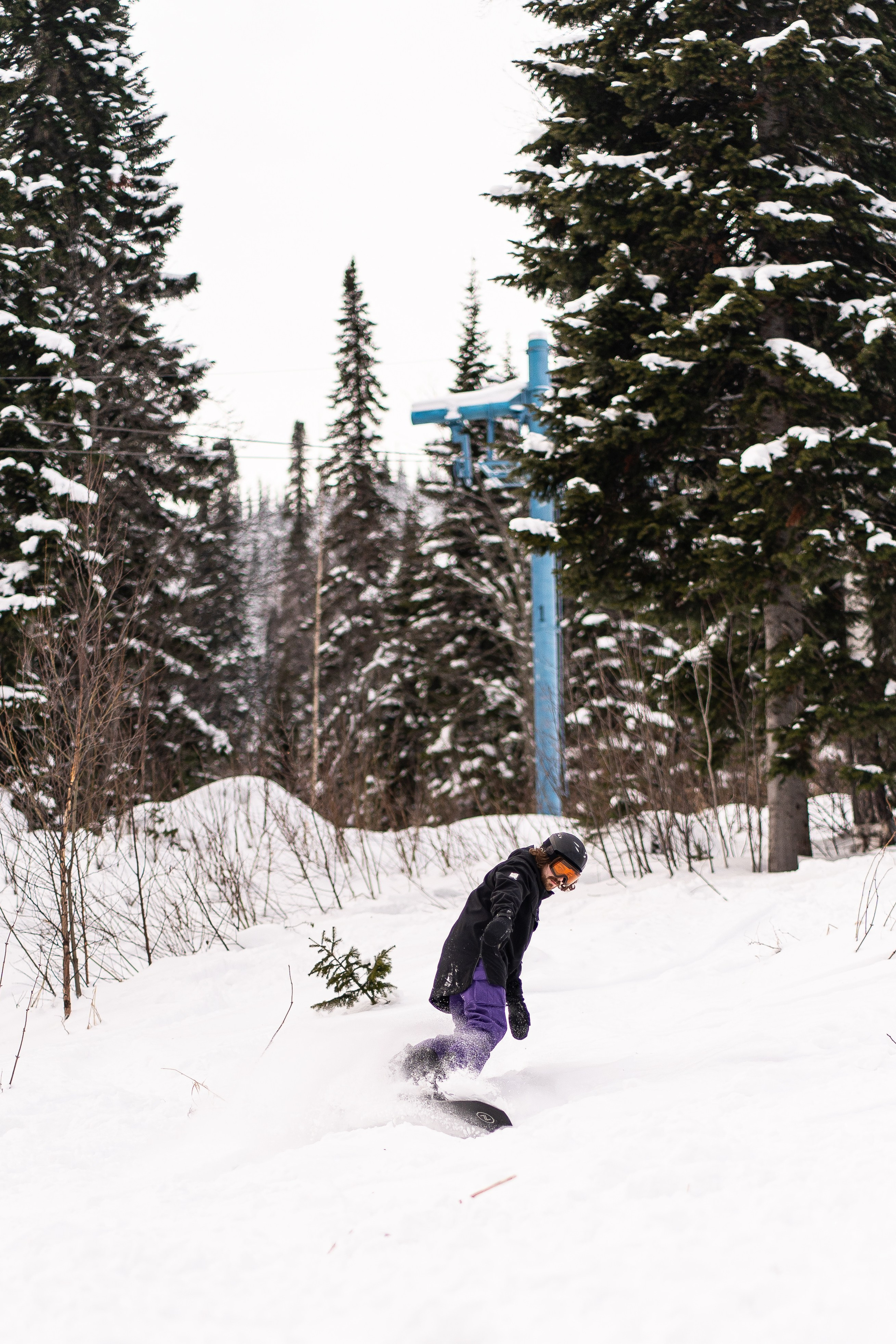 Джой 13.12. Анастасия Паршукова — фотограф Шерегеш Новосибирск