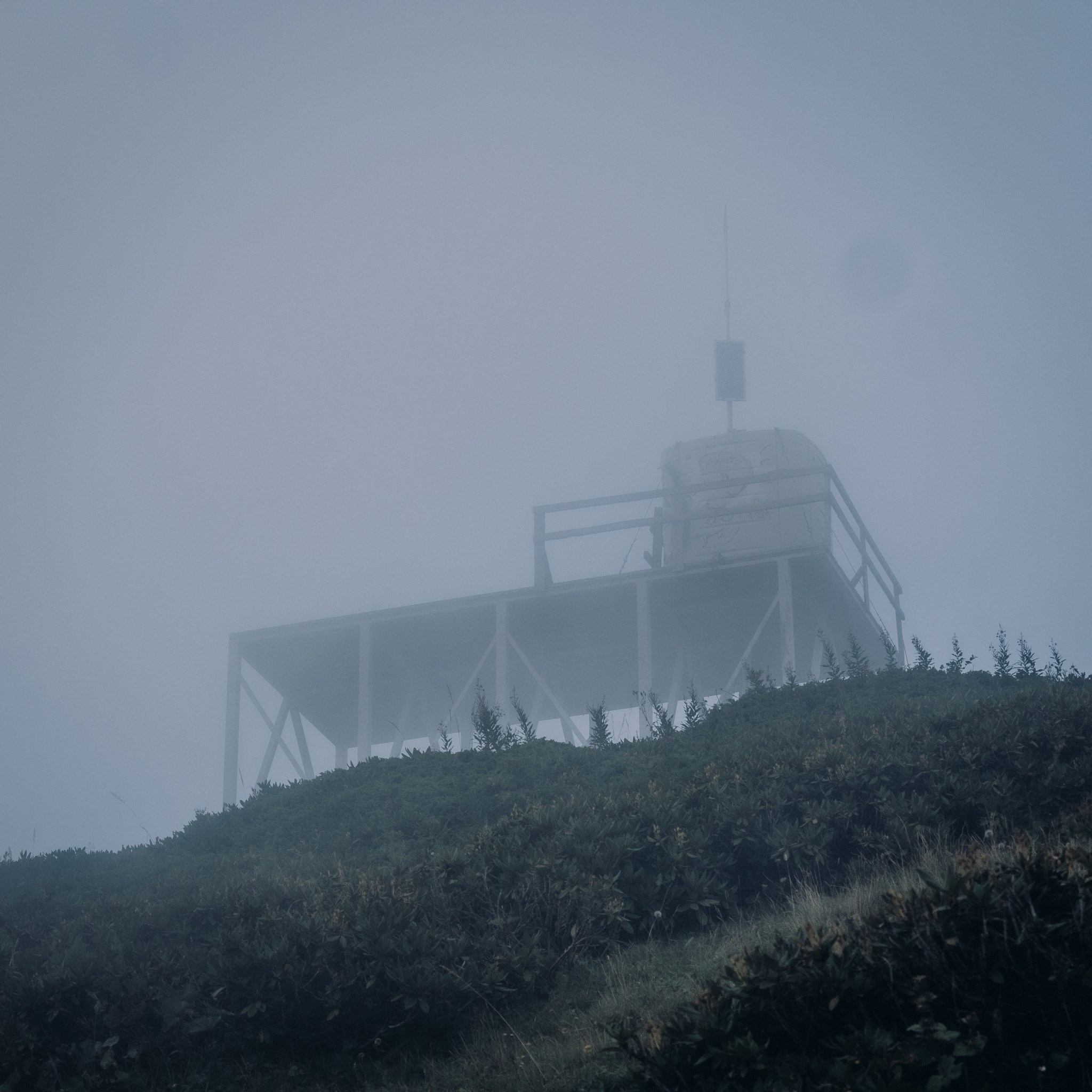 Природа. Фоточки