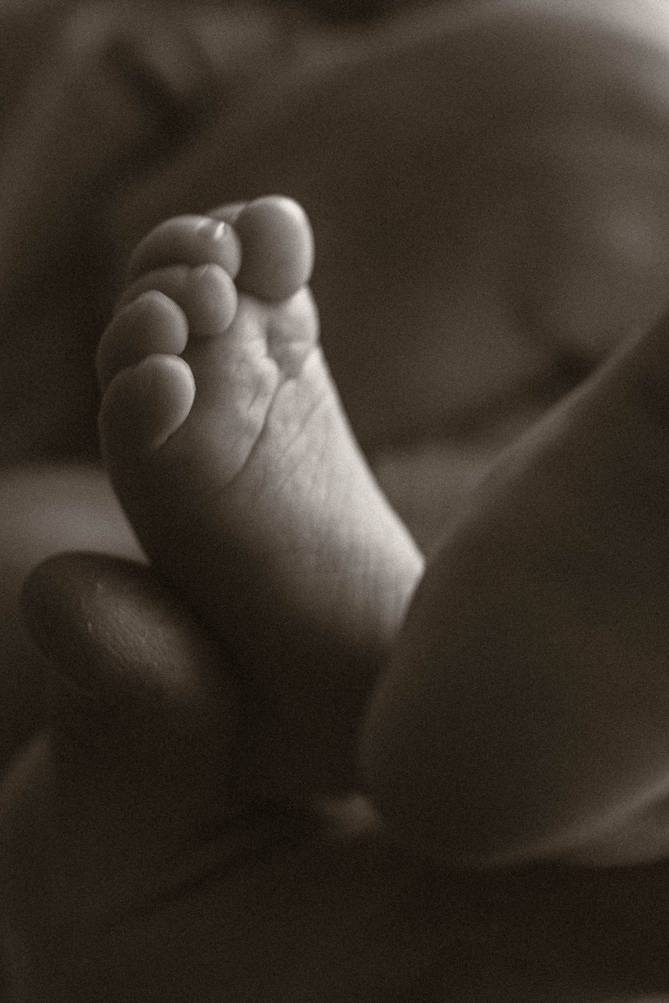 Диана, Миша и Ассоль. Семейный фотограф Юлия Котова