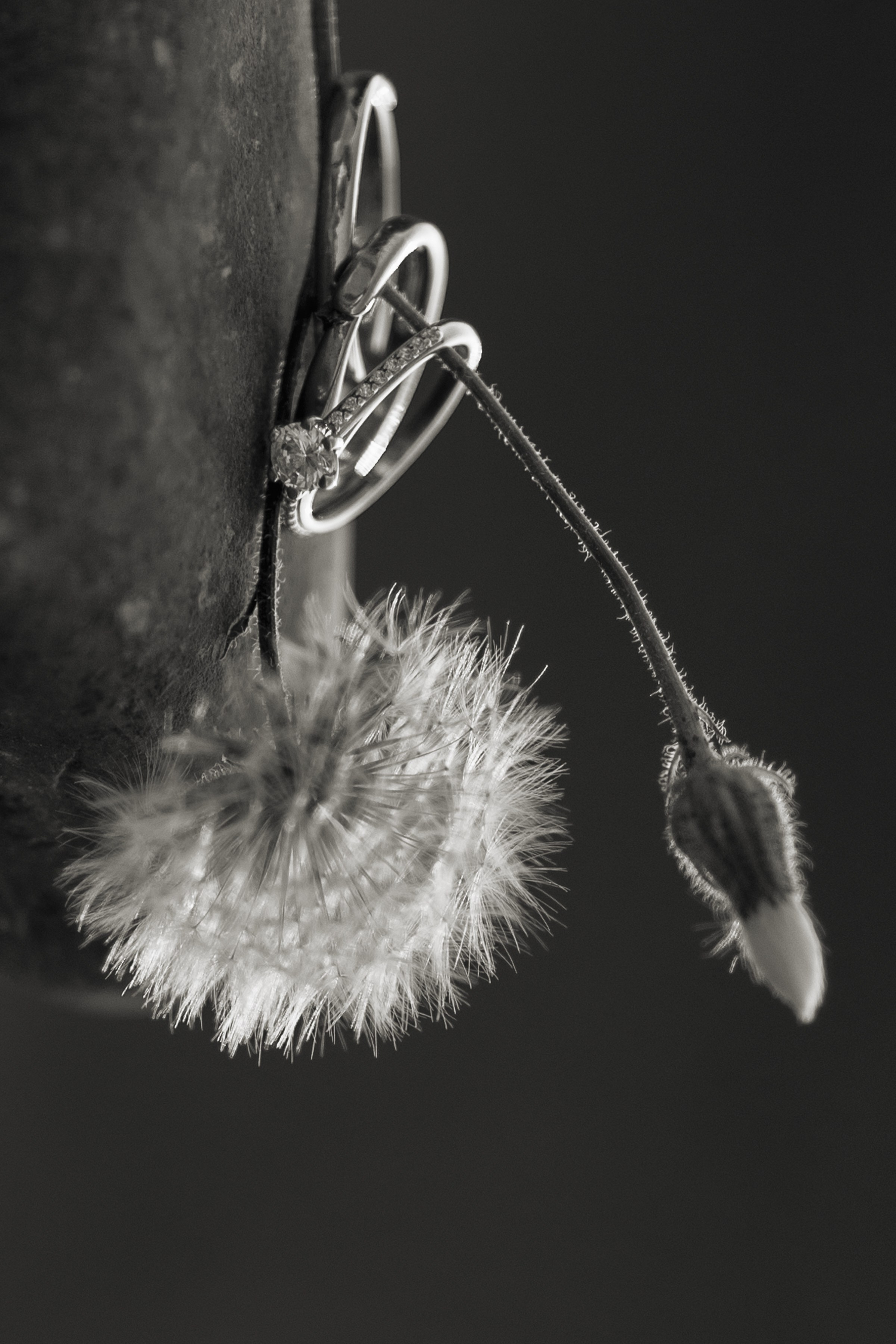 Фотограф Айвазова Наталья Краснодар