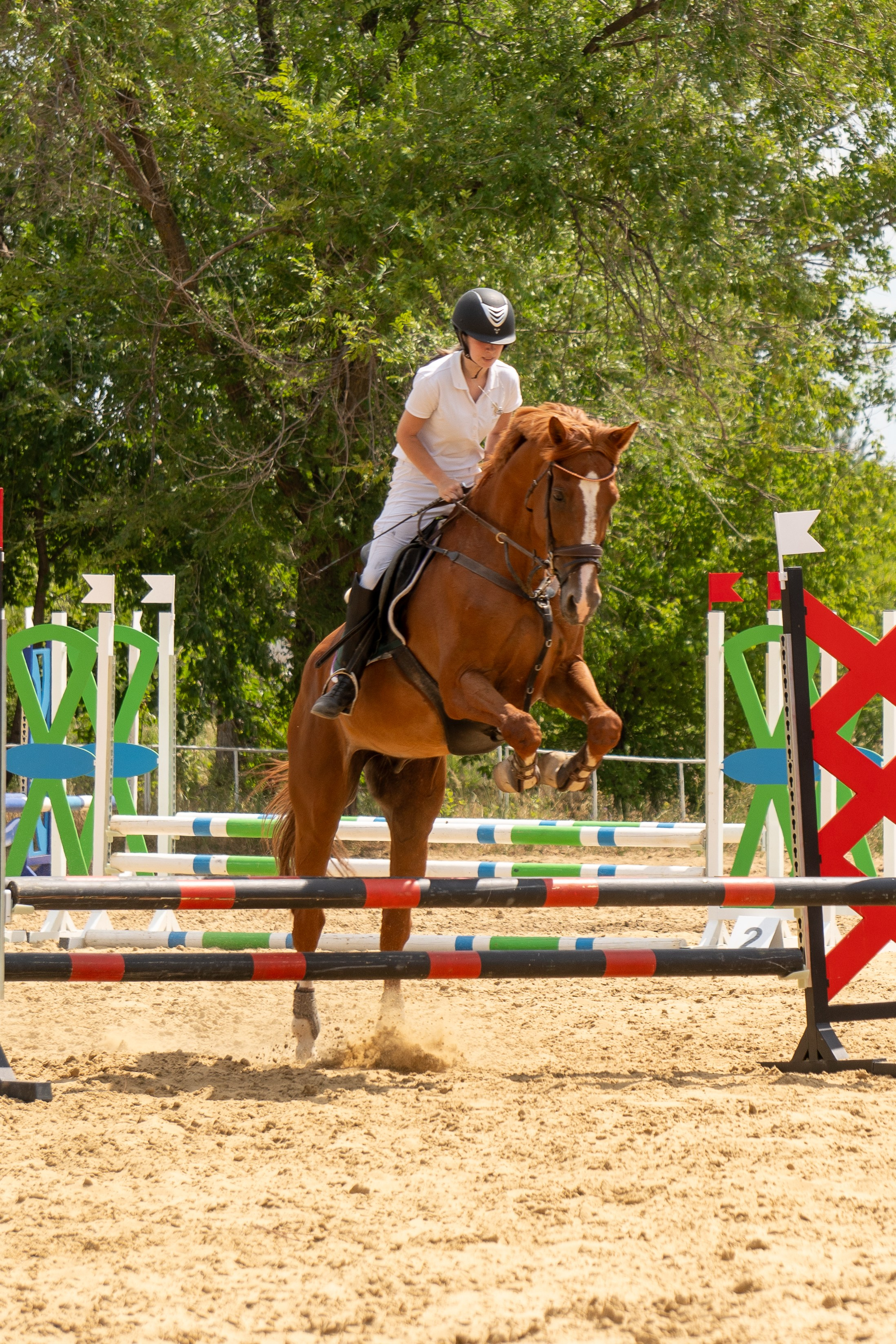 Соревнования по конкуру, Луганск. Фотограф в РФ и ЛНР Юлия Федосеева