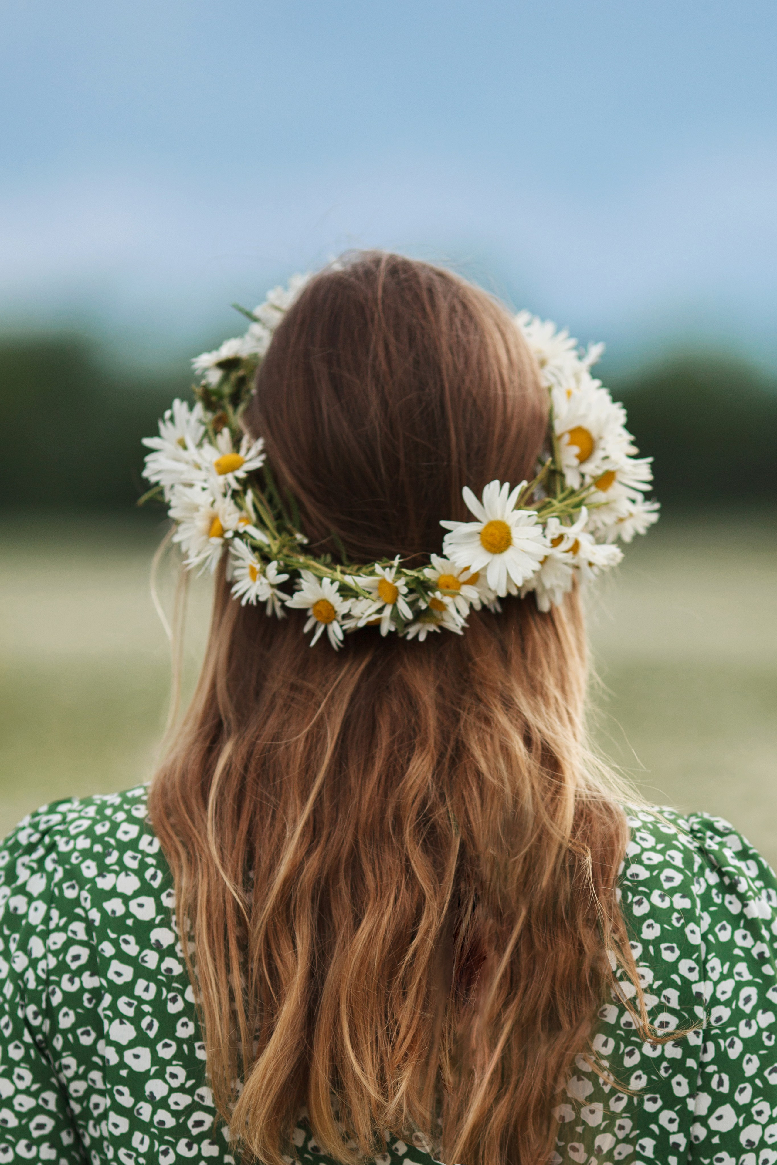 Ромашковое поле — Елизавета. Фотограф Ставрополь Пятигорск Елизавета Дарина