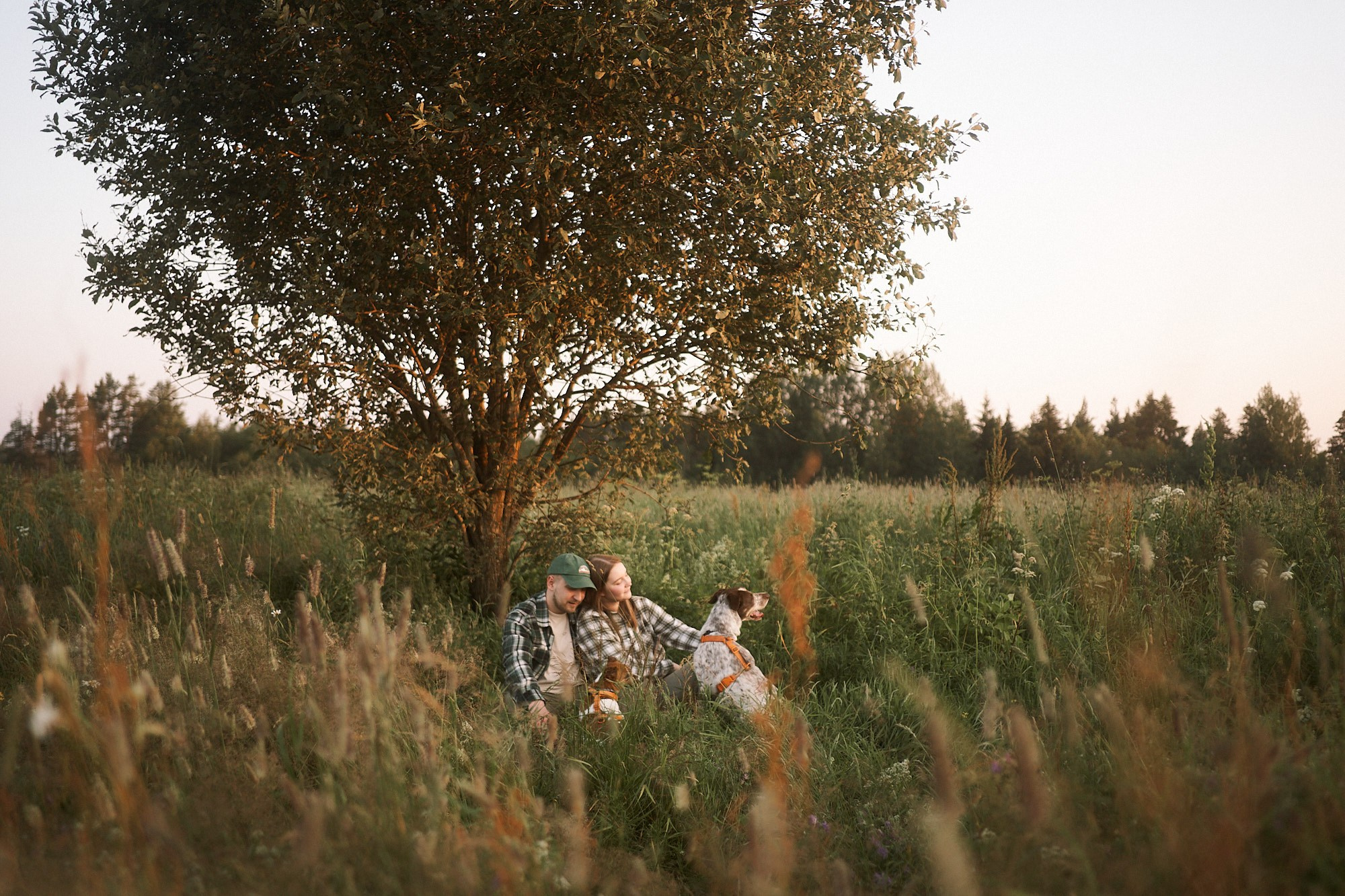 На рассвете. Фотограф анималист Москва Дарья